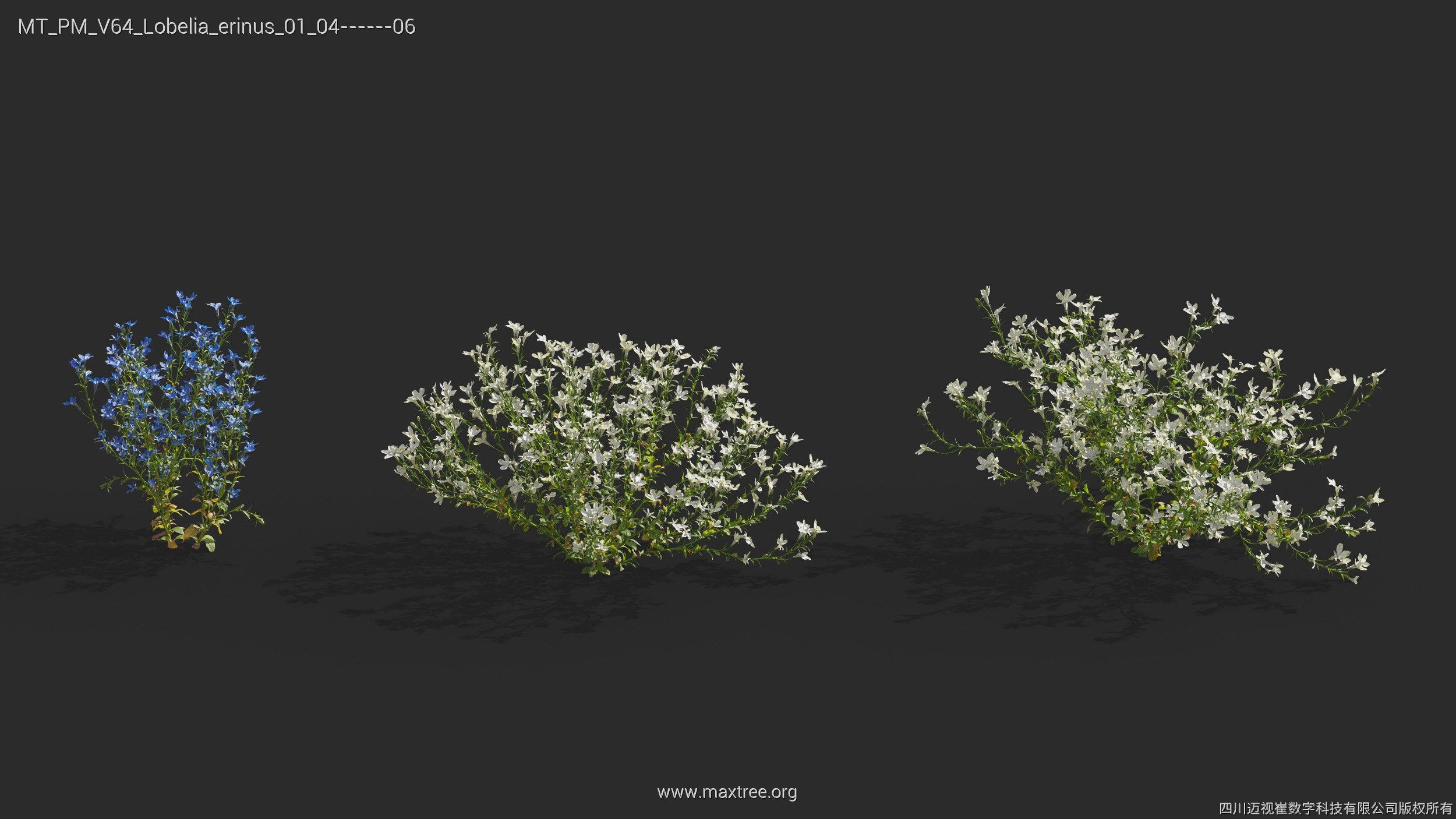 Maxtree Plant Models Vol 64 - Mesh 3D model_14