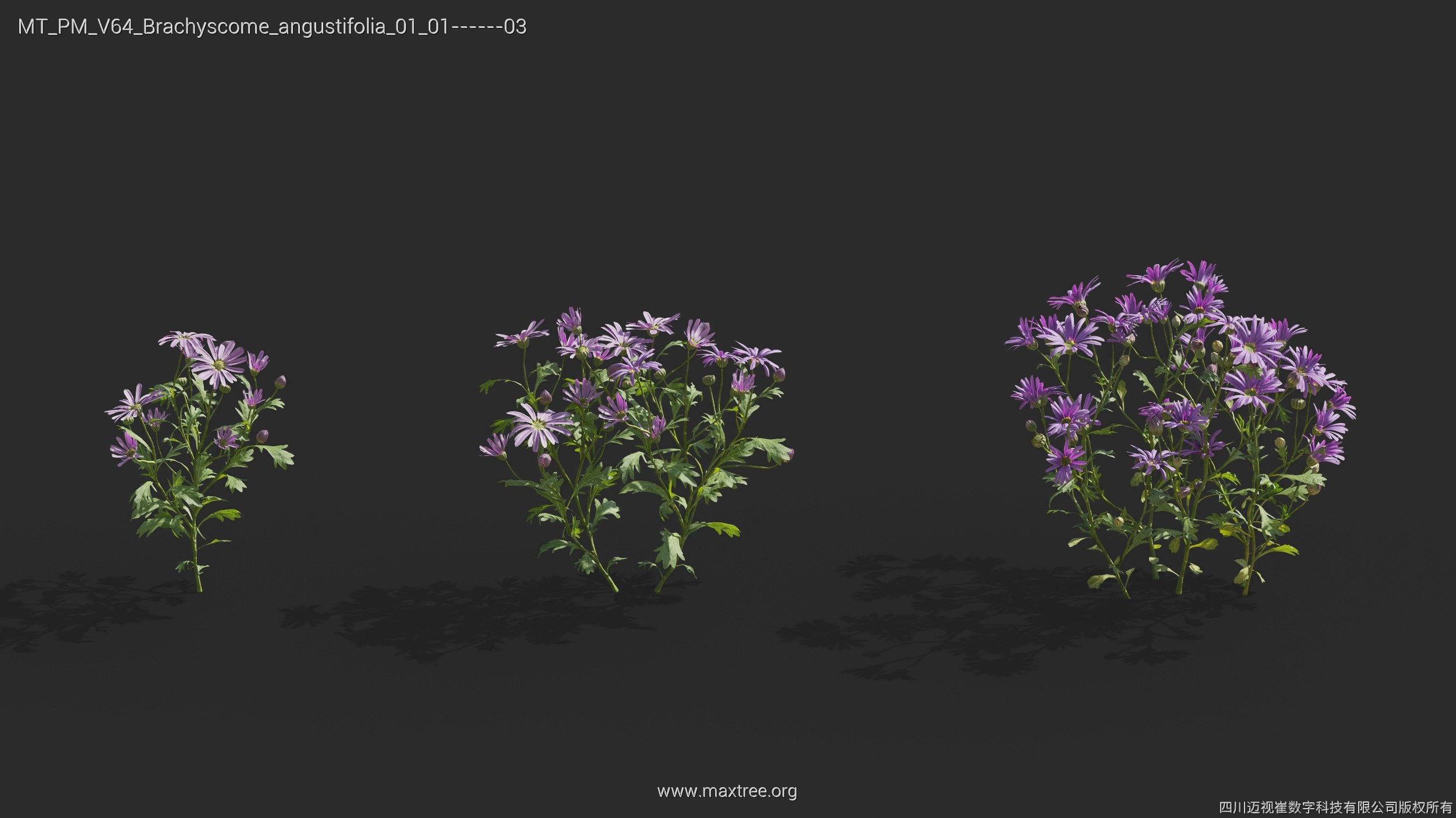 Maxtree Plant Models Vol 64 - Mesh 3D model_5