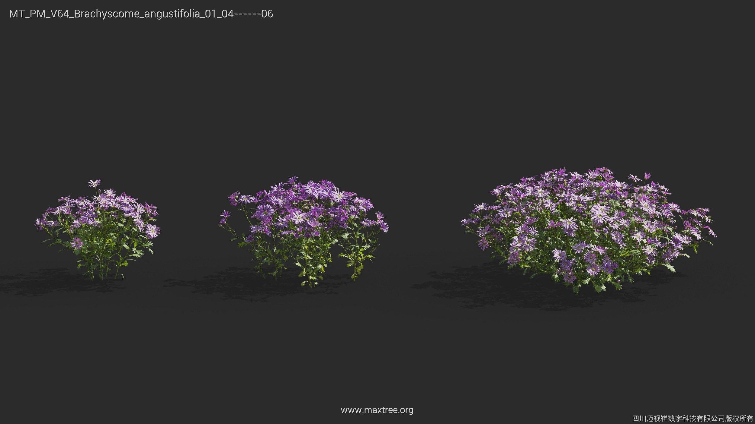 Maxtree Plant Models Vol 64 - Mesh 3D model_6