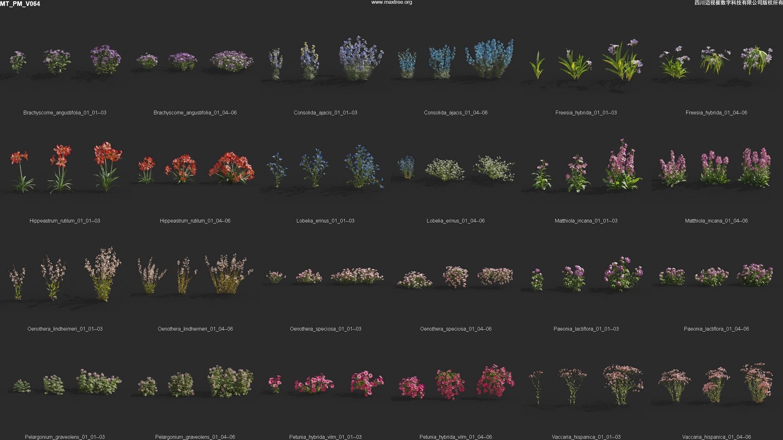 Maxtree Plant Models Vol 64 - Mesh 3D model_4
