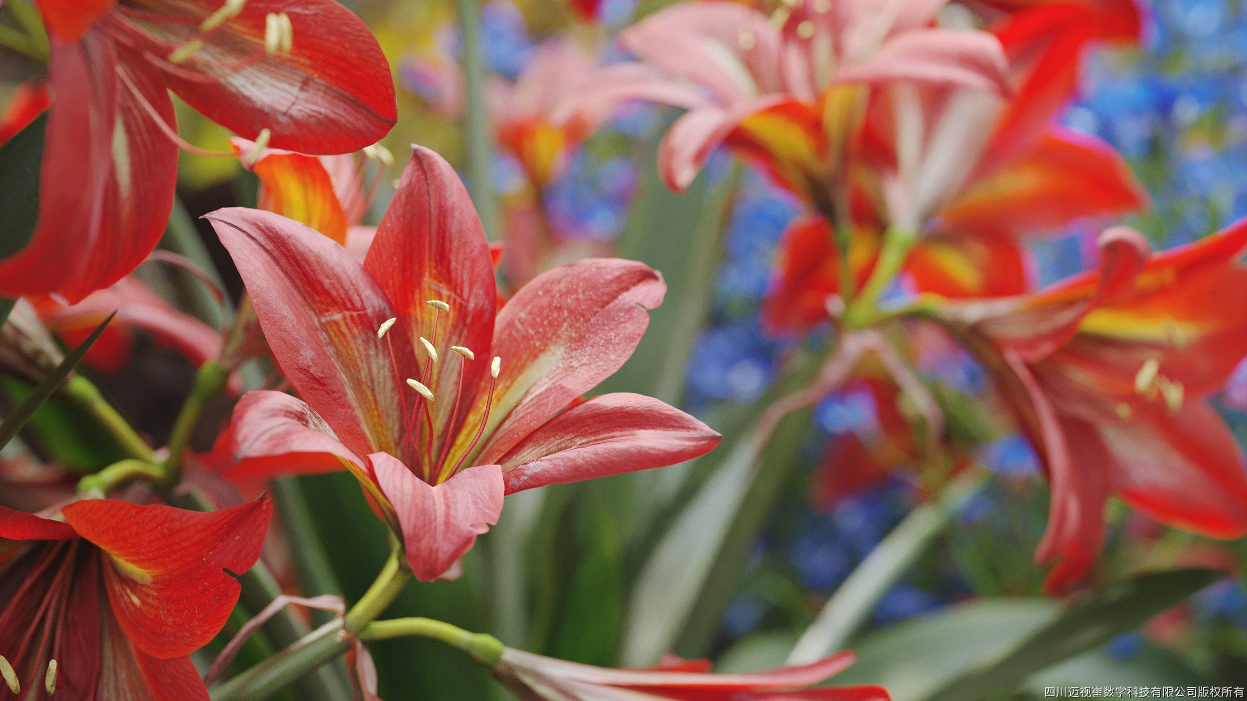 Maxtree Plant Models Vol 64 - Mesh 3D model_2