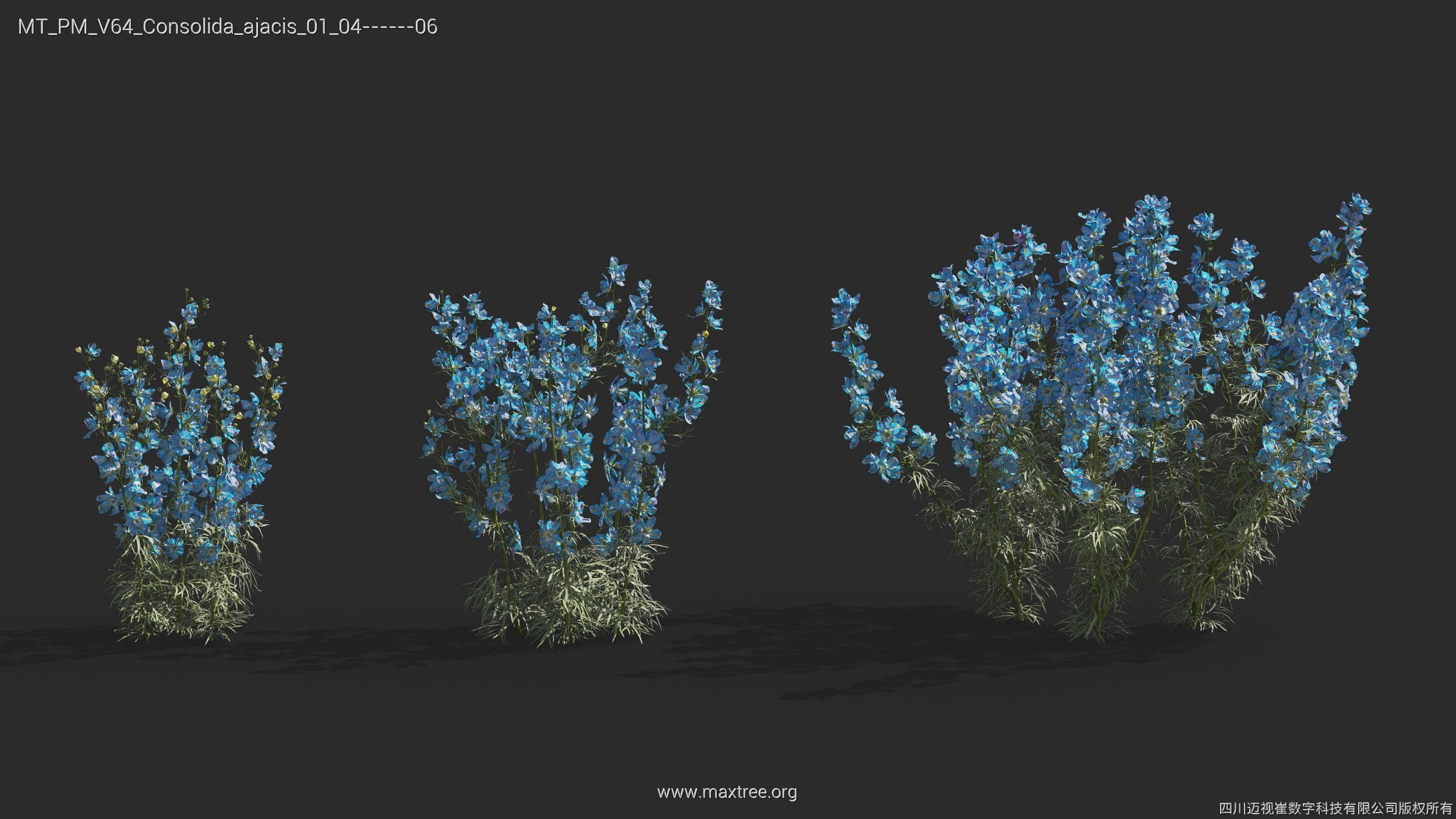 Maxtree Plant Models Vol 64 - Mesh 3D model_8