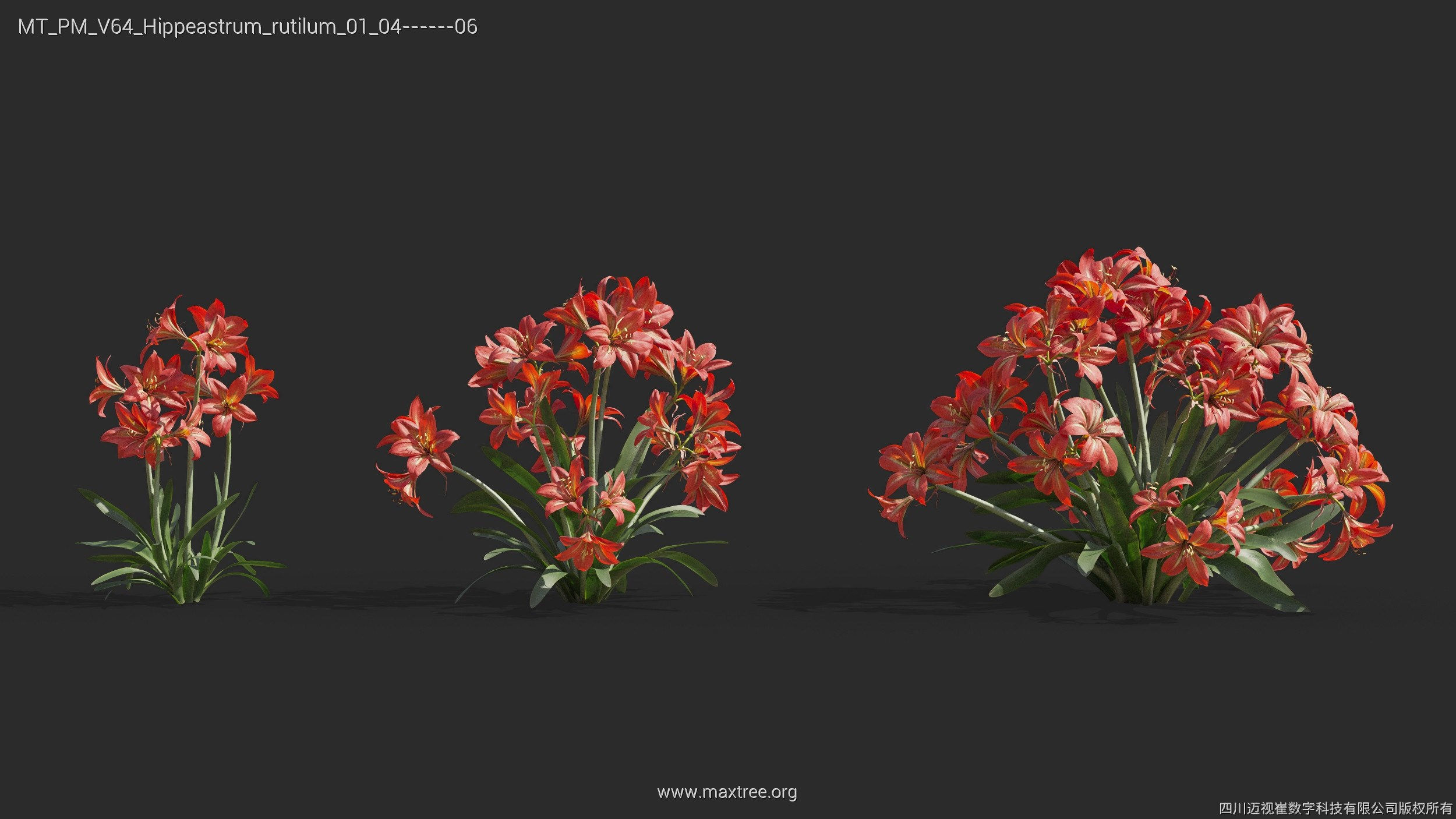 Maxtree Plant Models Vol 64 - Mesh 3D model_12