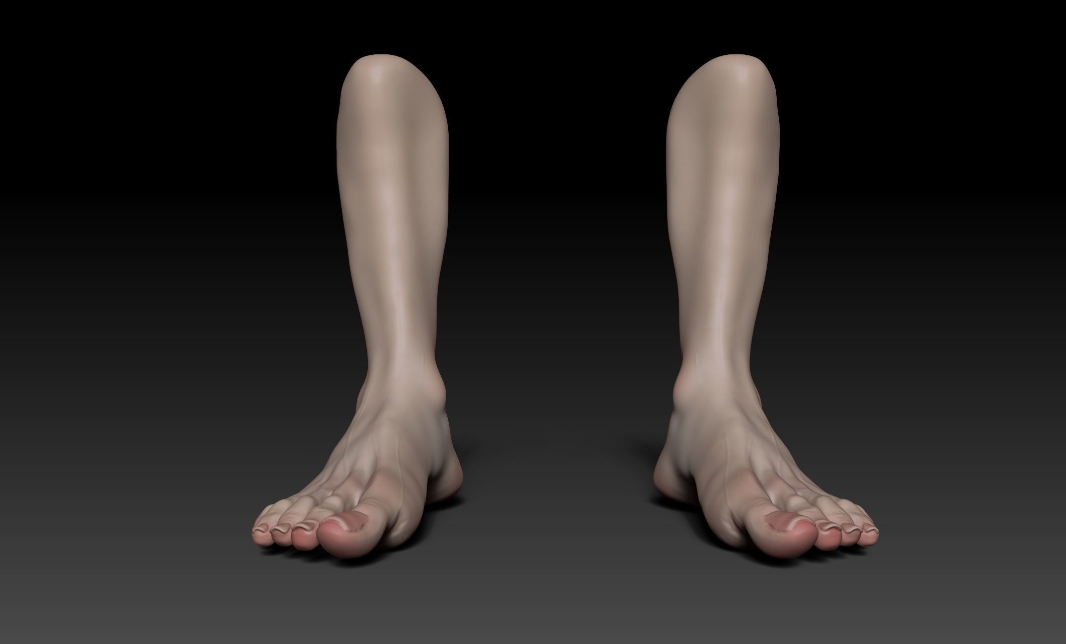 Female Pro Feet Heeled Shoes Sculpt Project 3D model_22