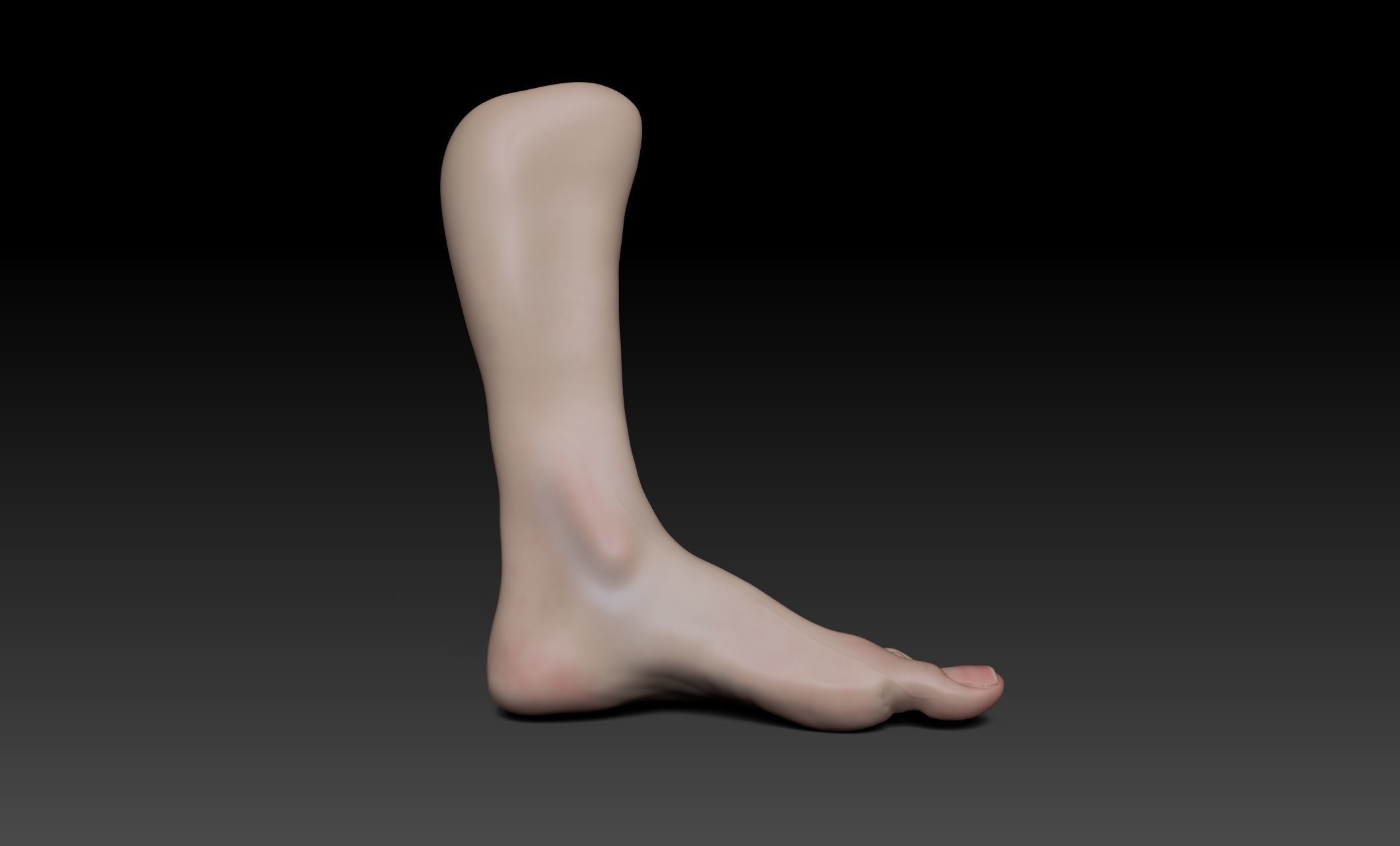Female Pro Feet Heeled Shoes Sculpt Project 3D model_20