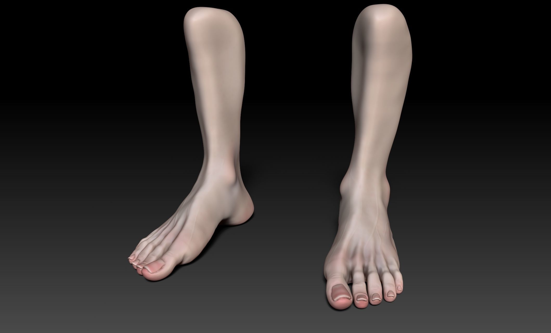 Female Pro Feet Heeled Shoes Sculpt Project 3D model_35