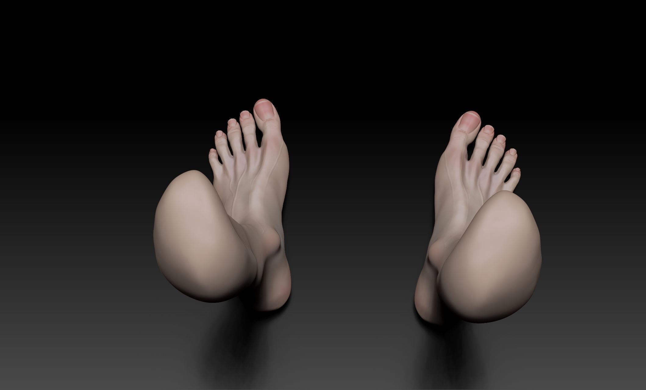 Female Pro Feet Heeled Shoes Sculpt Project 3D model_24