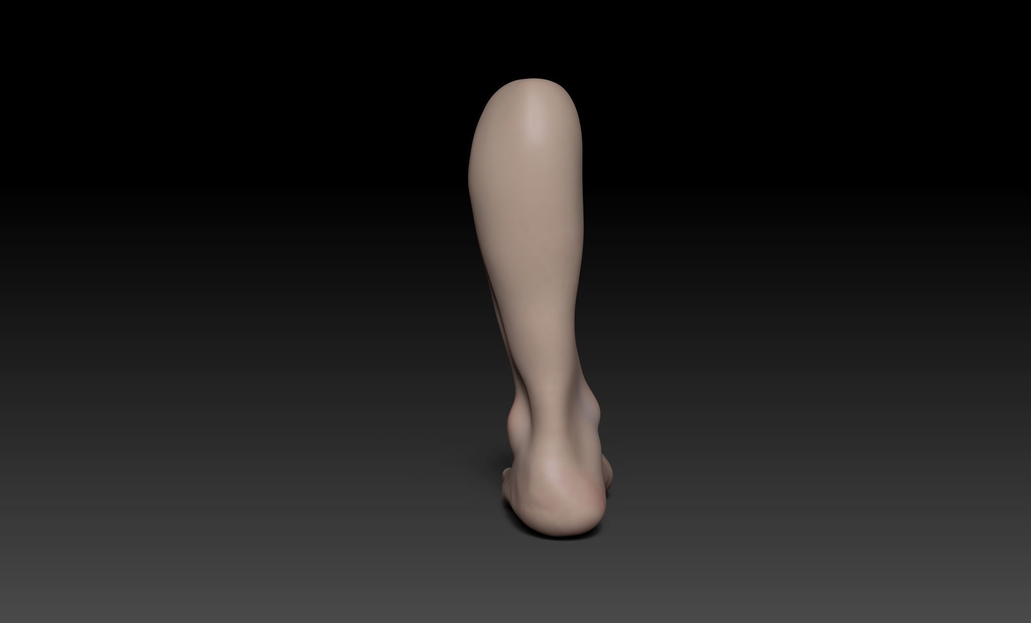 Female Pro Feet Heeled Shoes Sculpt Project 3D model_19
