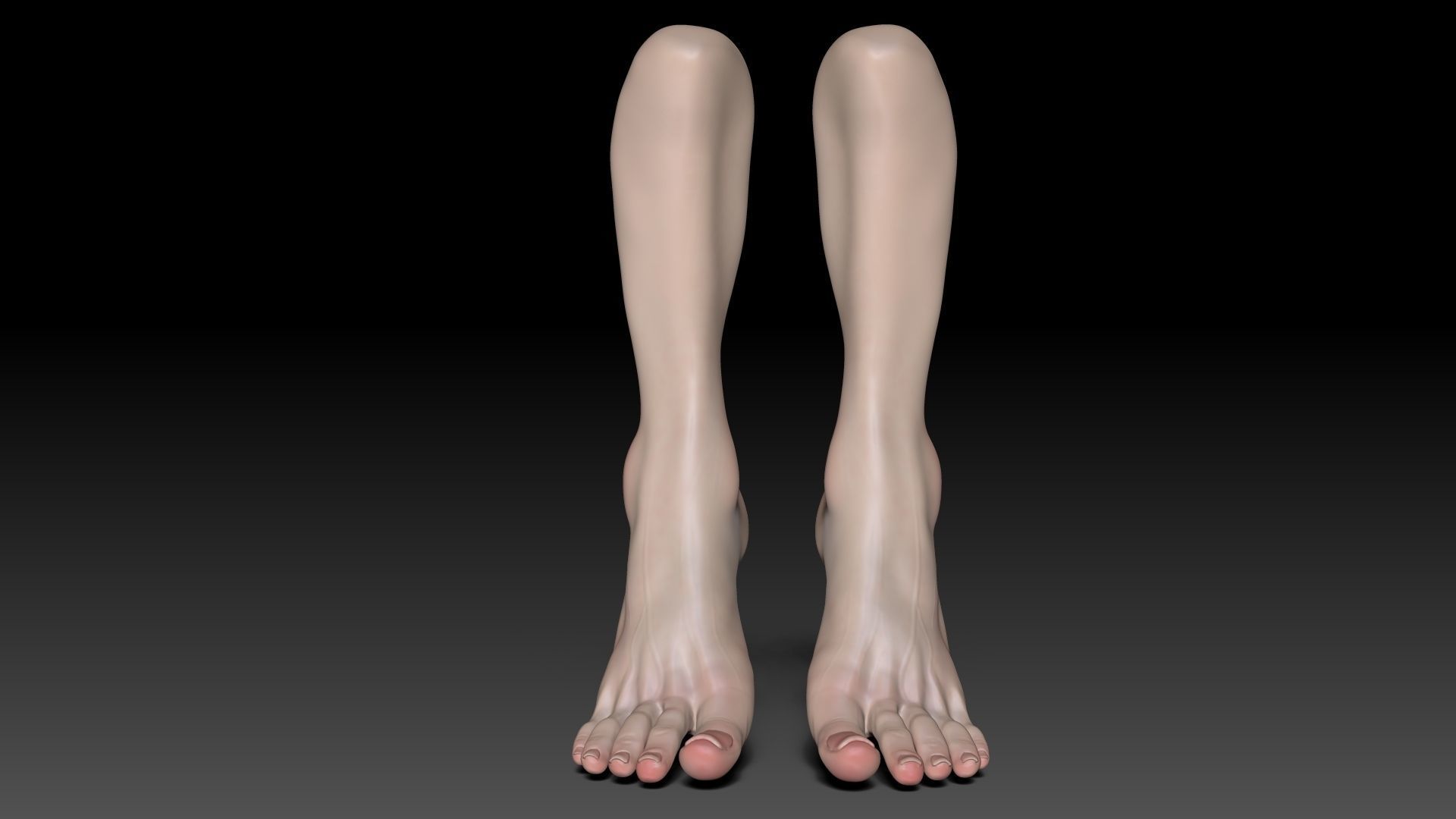 Female Pro Feet Heeled Shoes Sculpt Project 3D model_43