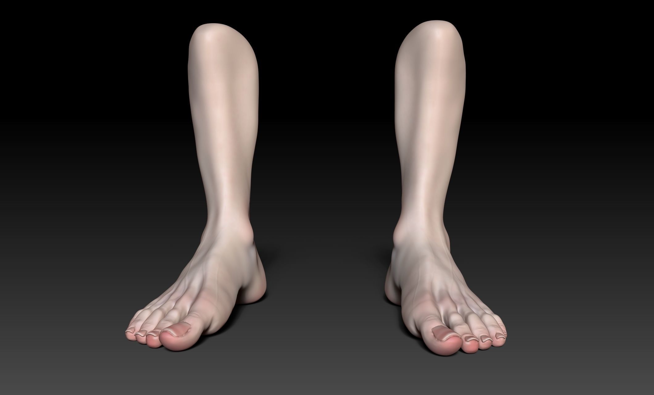 Female Pro Feet Heeled Shoes Sculpt Project 3D model_39