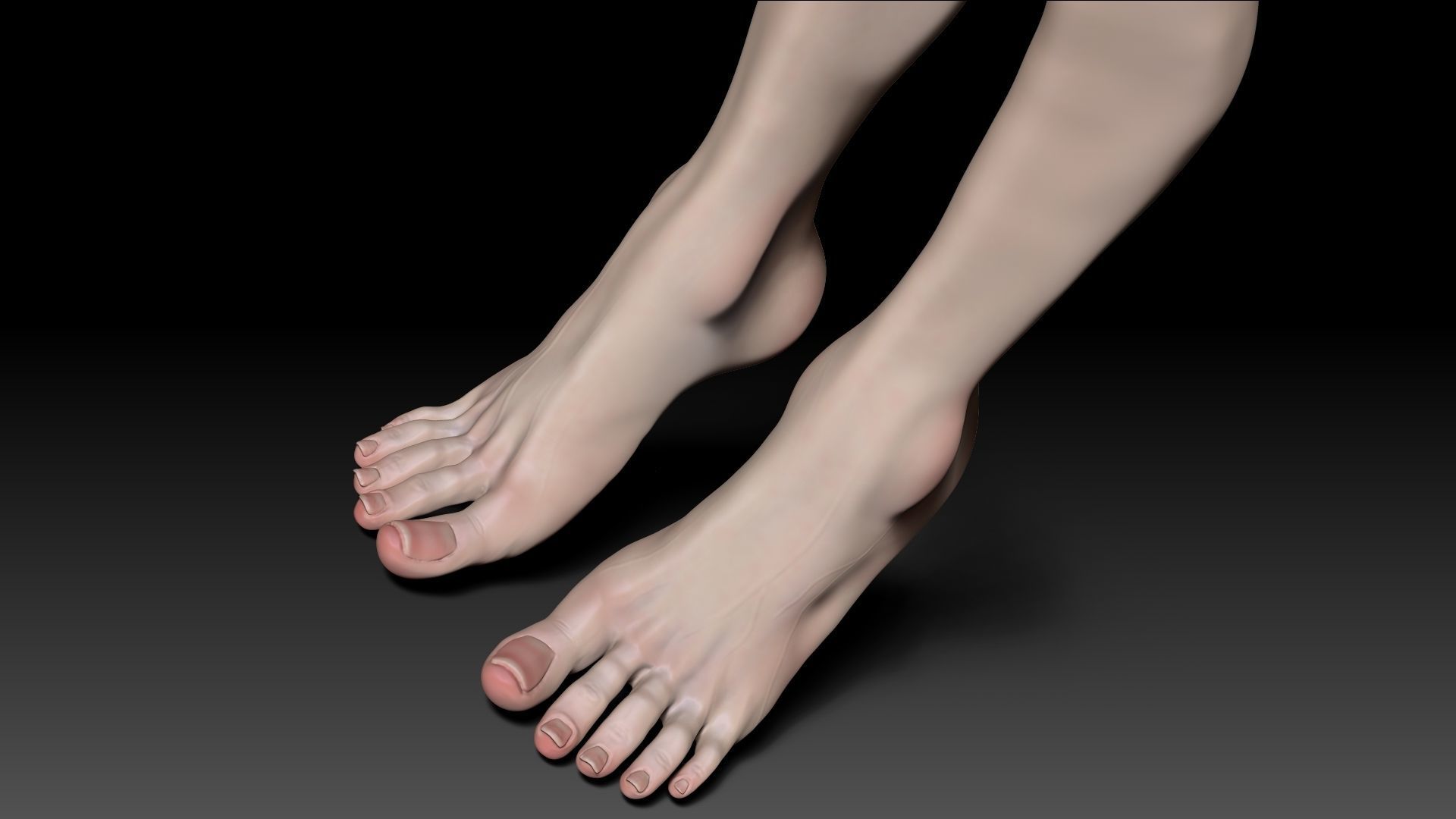 Female Pro Feet Heeled Shoes Sculpt Project 3D model_48