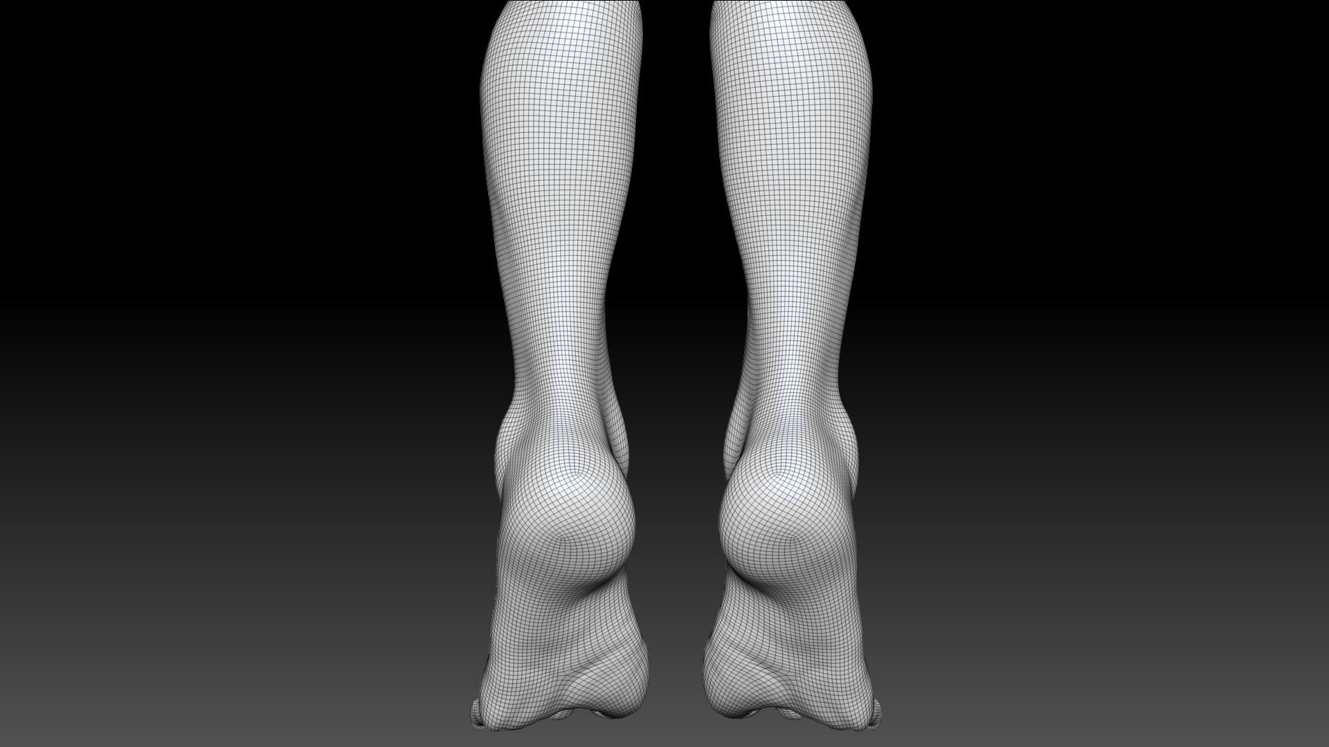 Female Pro Feet Heeled Shoes Sculpt Project 3D model_53