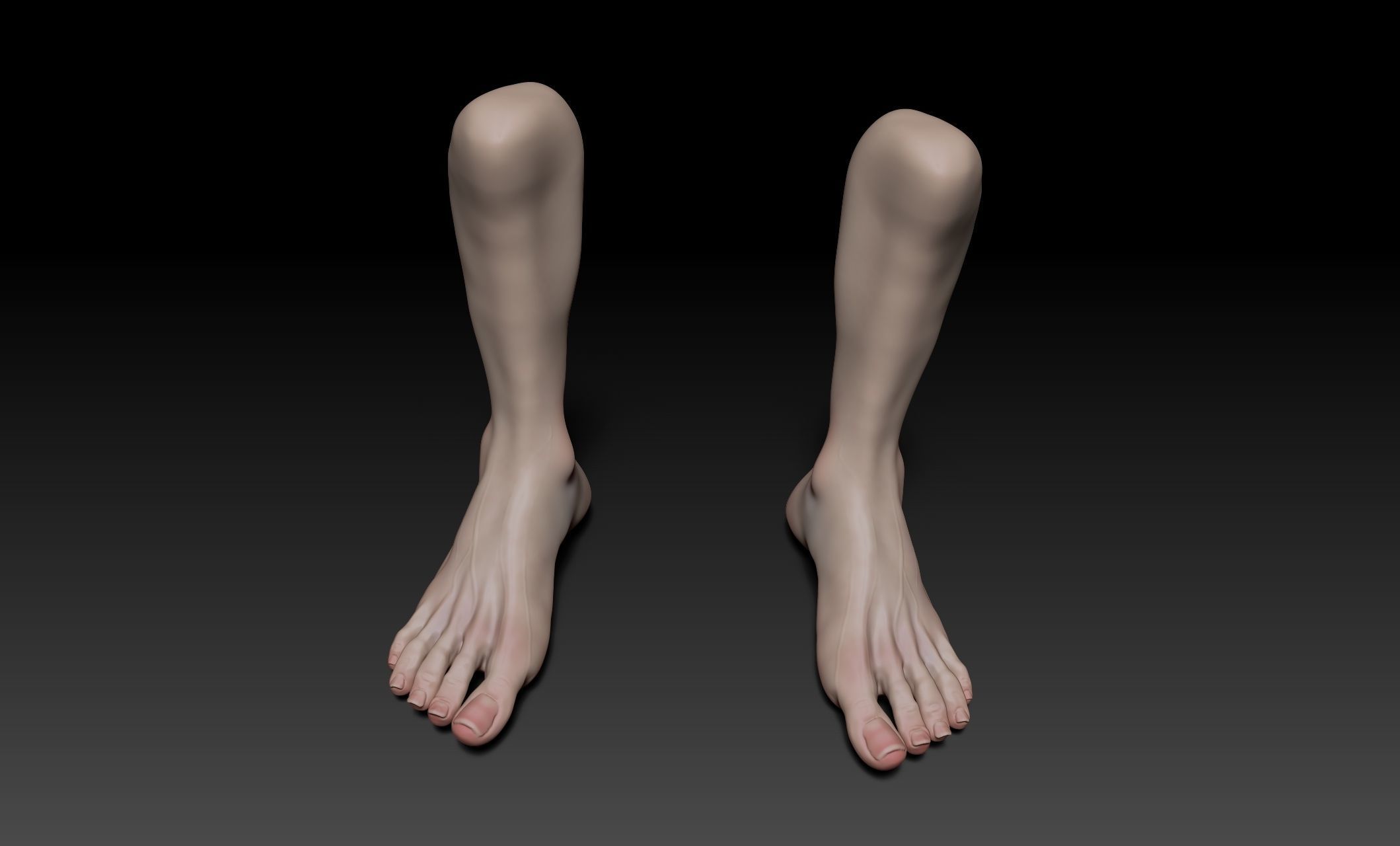 Female Pro Feet Heeled Shoes Sculpt Project 3D model_27