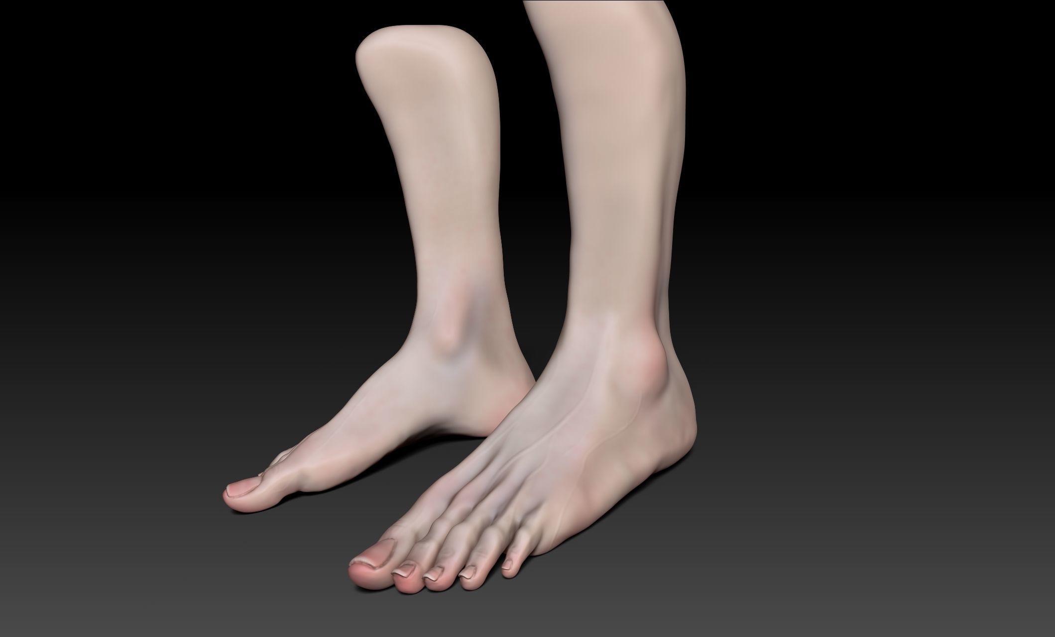 Female Pro Feet Heeled Shoes Sculpt Project 3D model_36
