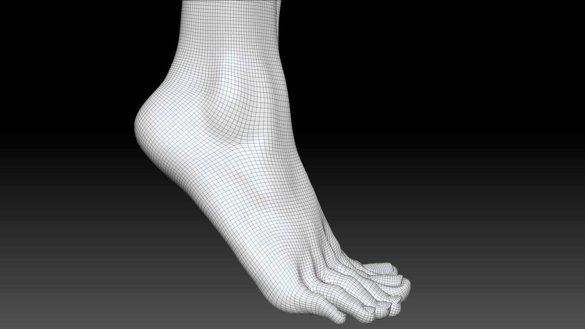 Female Pro Feet Heeled Shoes Sculpt Project 3D model_52