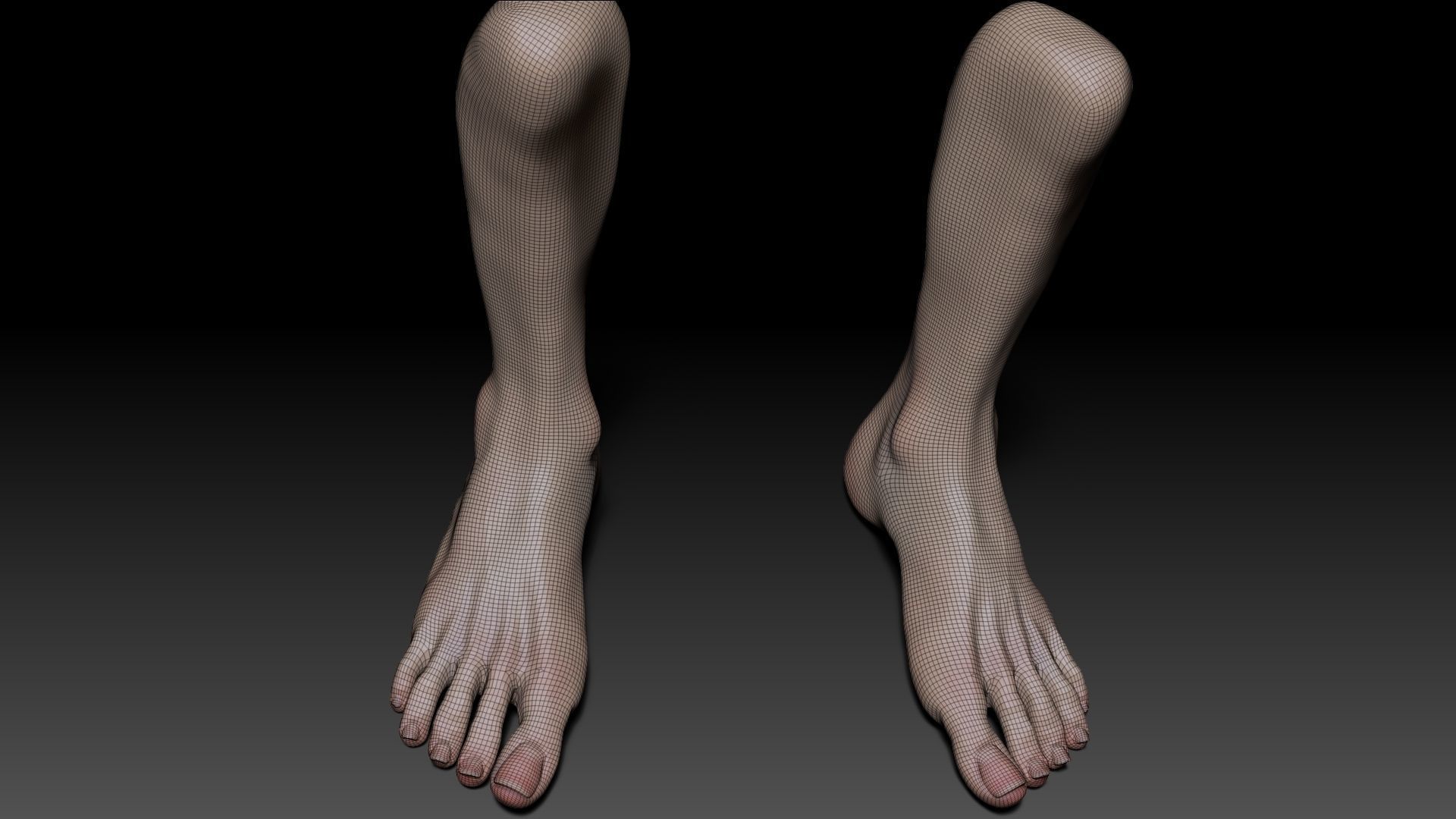 Female Pro Feet Heeled Shoes Sculpt Project 3D model_37