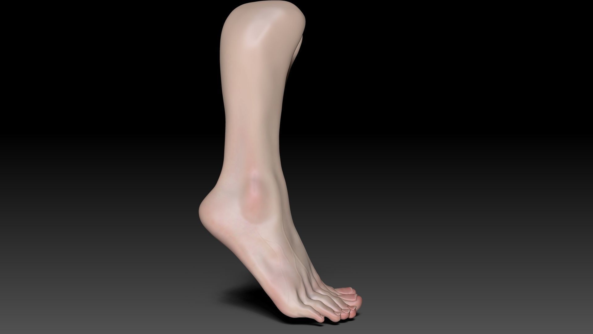 Female Pro Feet Heeled Shoes Sculpt Project 3D model_45