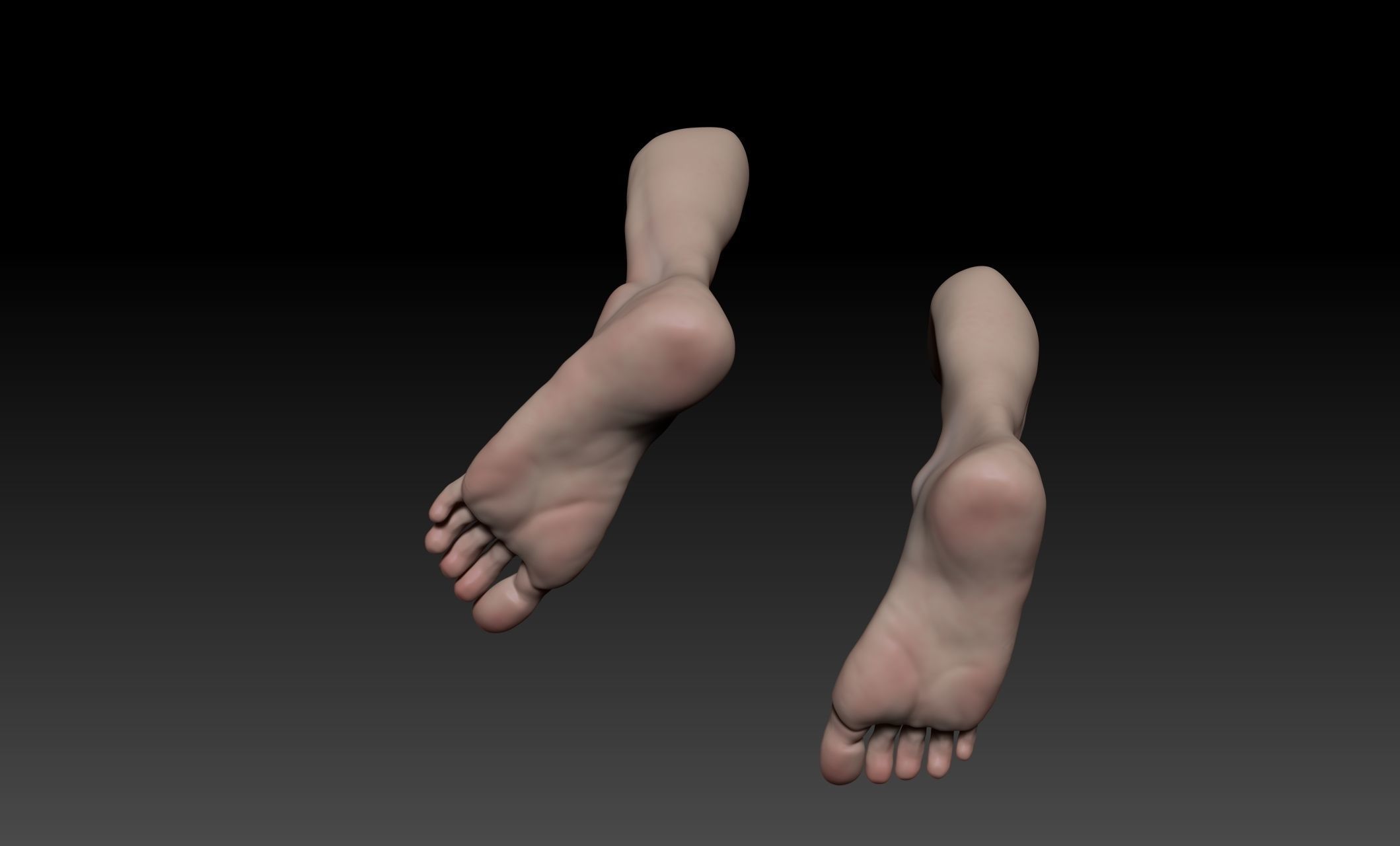 Female Pro Feet Heeled Shoes Sculpt Project 3D model_25