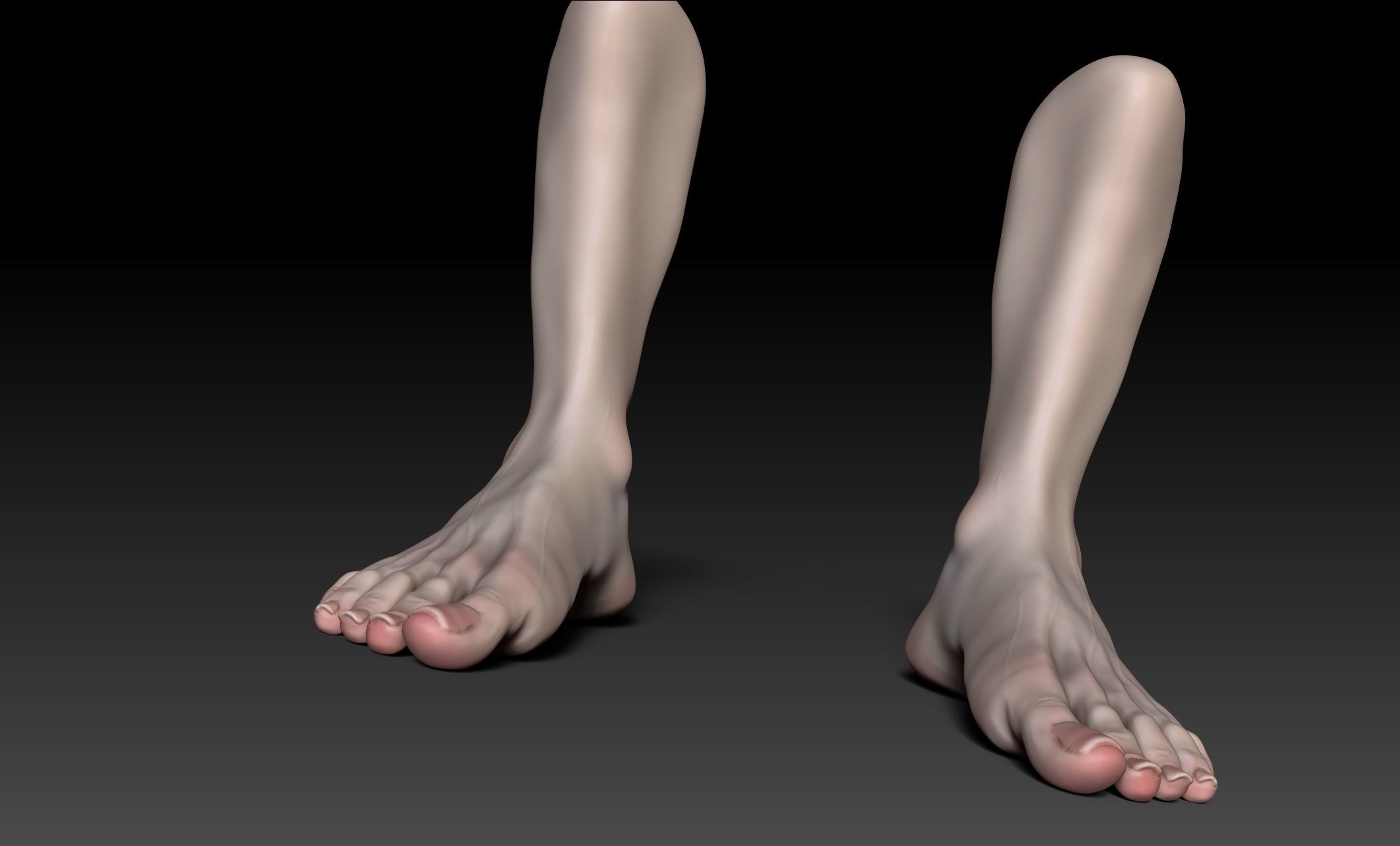 Female Pro Feet Heeled Shoes Sculpt Project 3D model_32