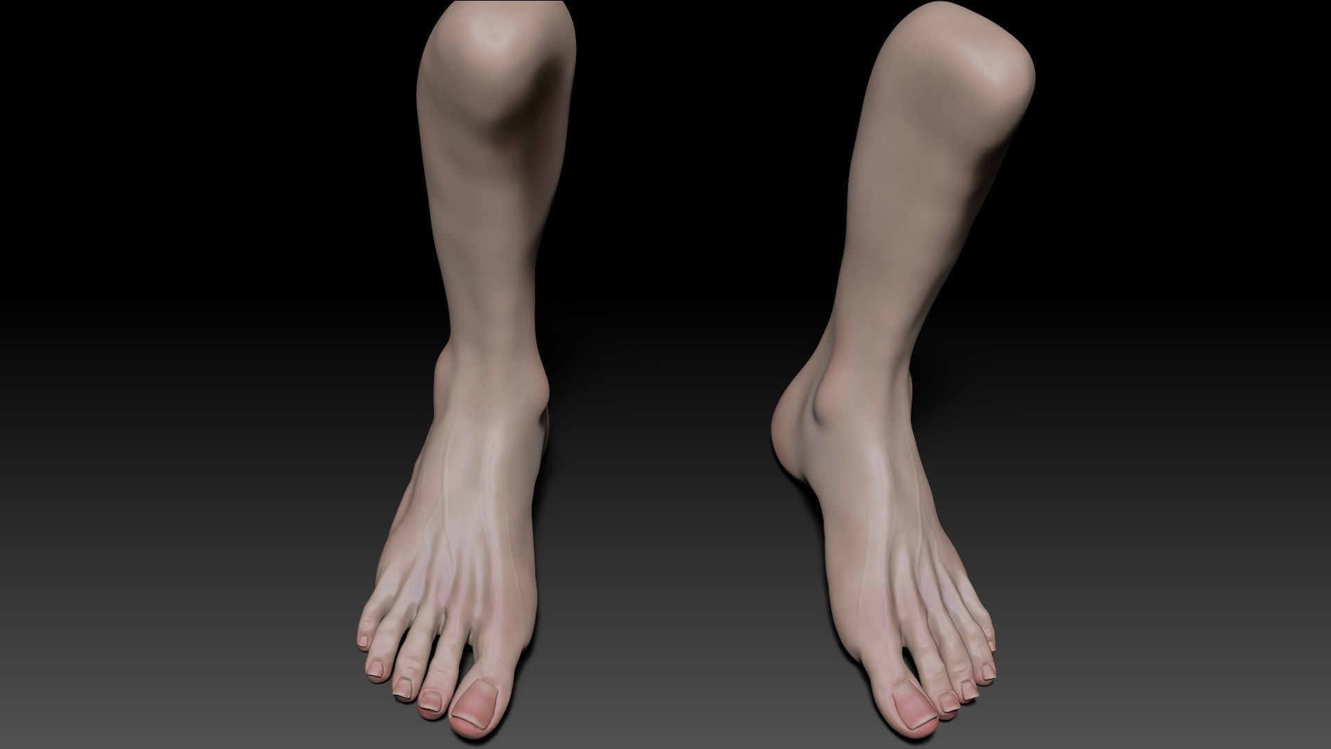 Female Pro Feet Heeled Shoes Sculpt Project 3D model_10