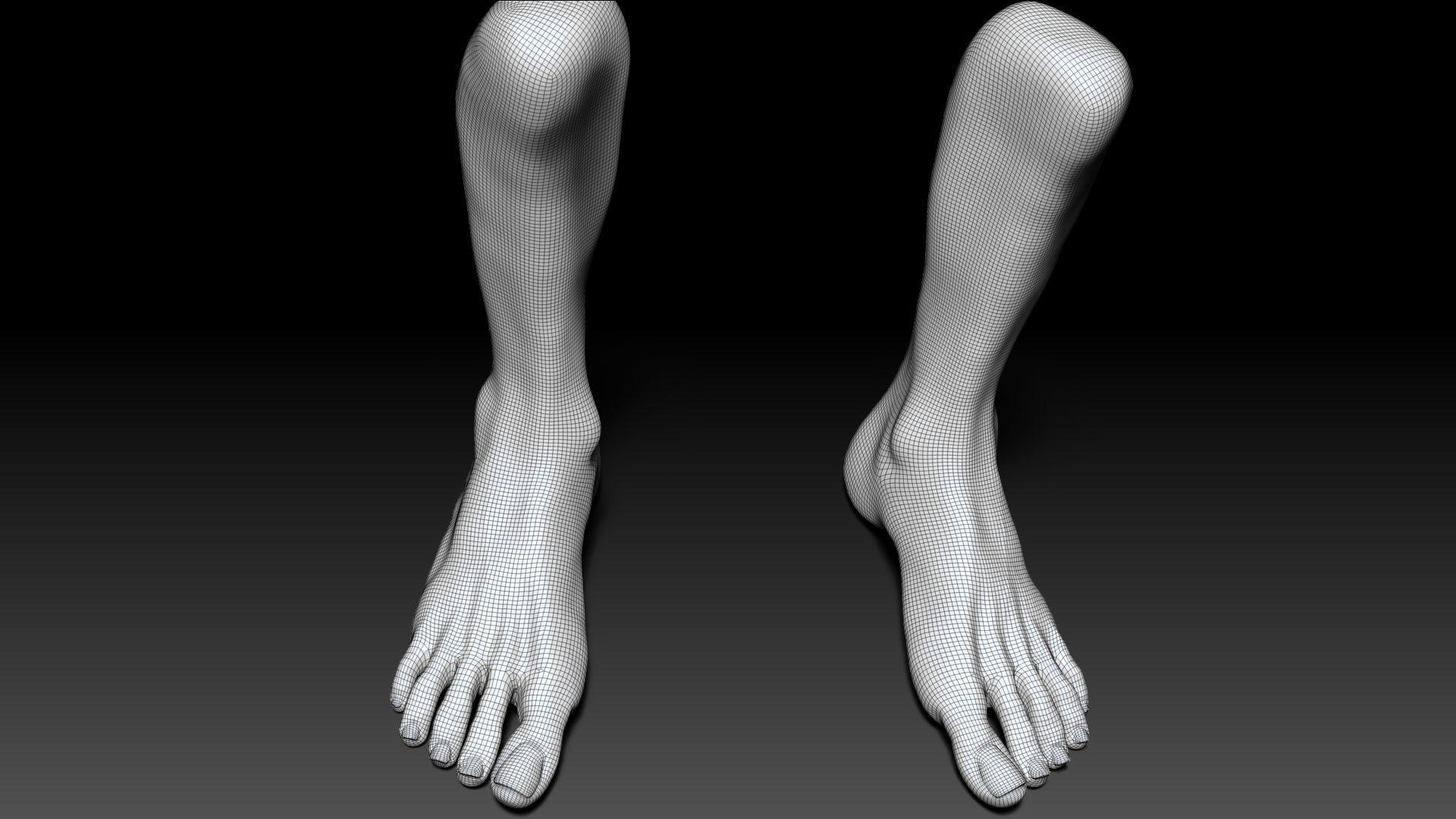 Female Pro Feet Heeled Shoes Sculpt Project 3D model_38