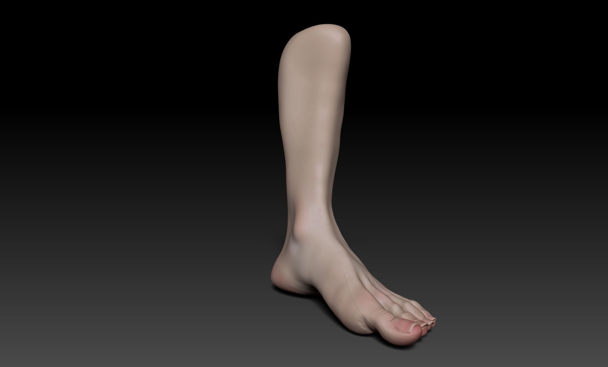Female Pro Feet Heeled Shoes Sculpt Project 3D model_15