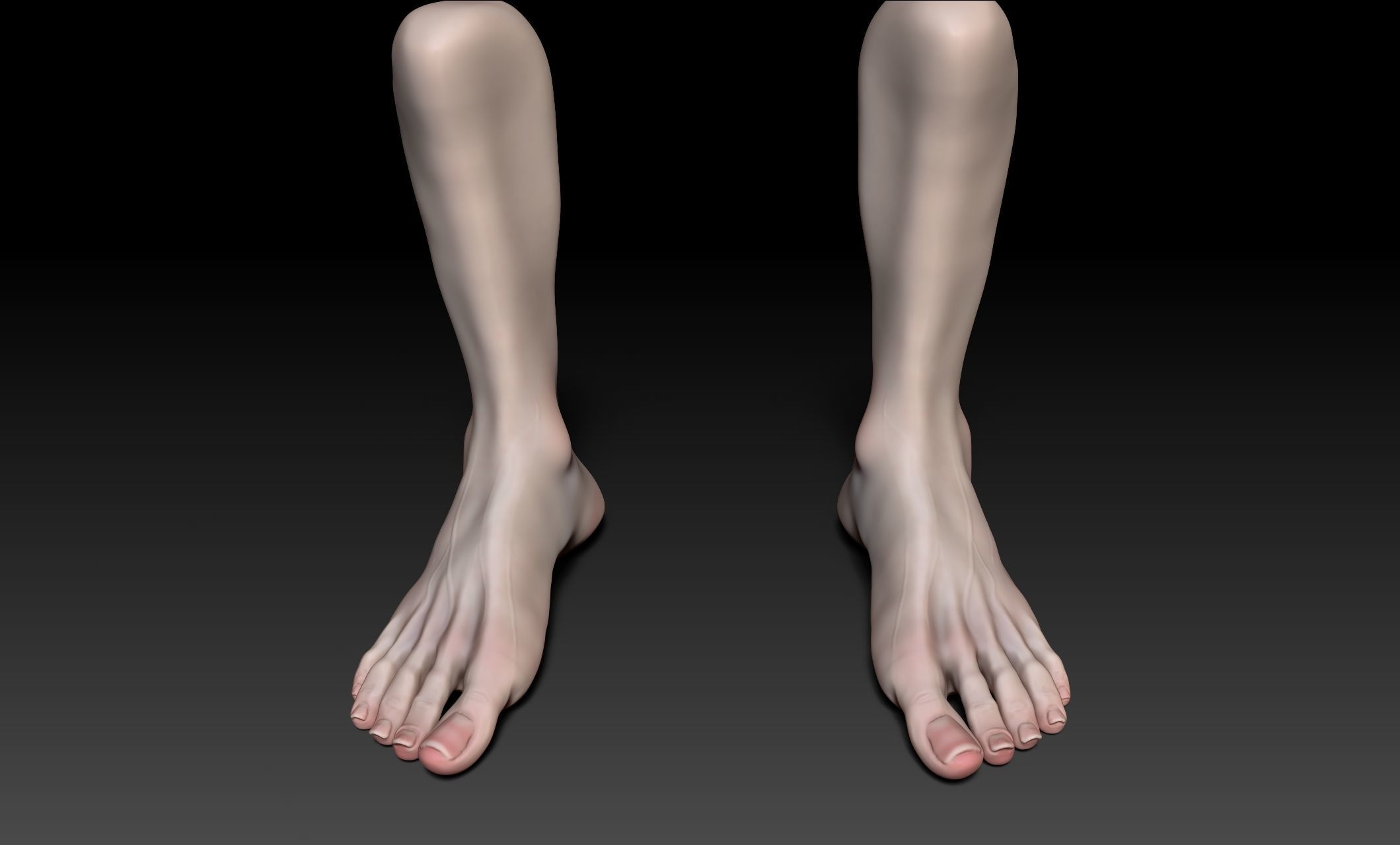 Female Pro Feet Heeled Shoes Sculpt Project 3D model_33