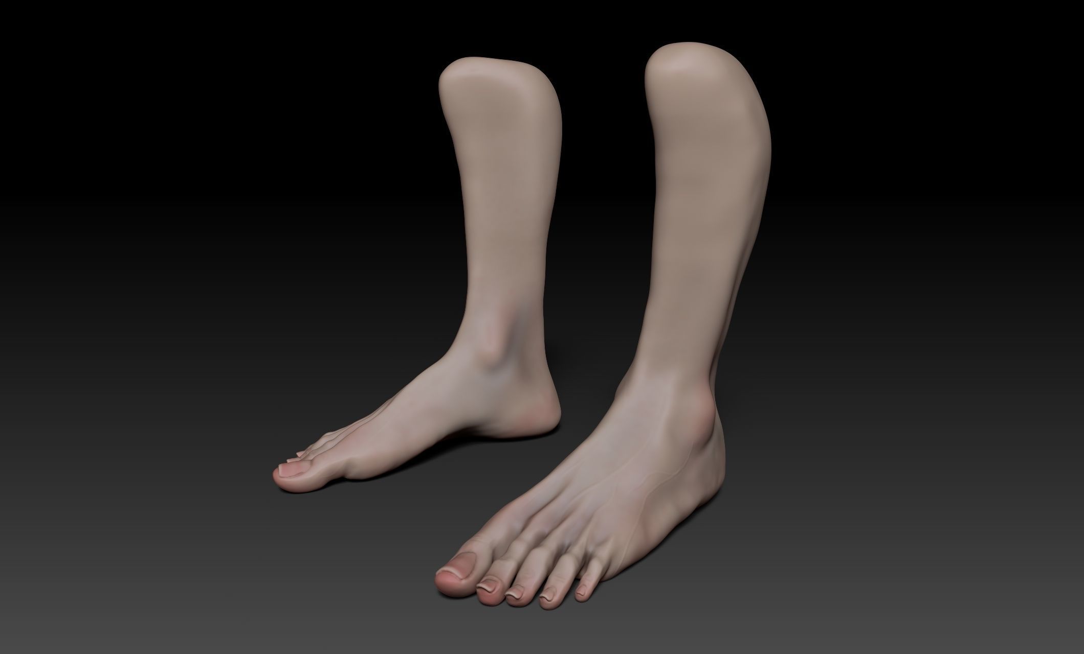 Female Pro Feet Heeled Shoes Sculpt Project 3D model_31