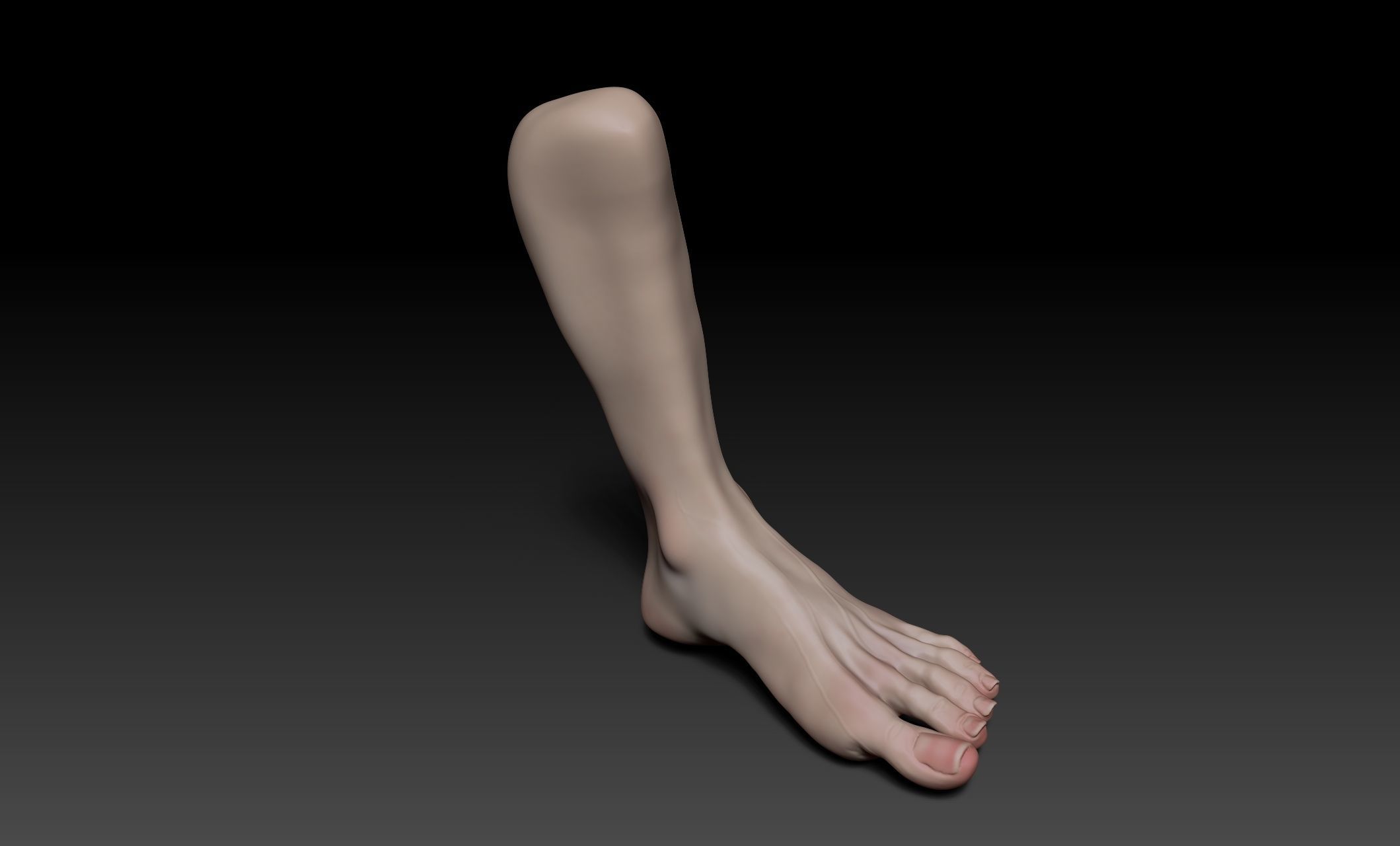 Female Pro Feet Heeled Shoes Sculpt Project 3D model_21