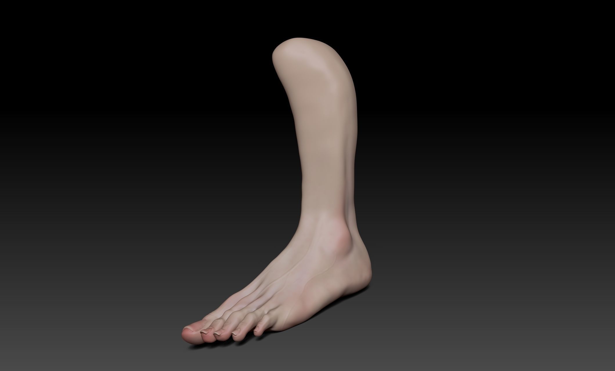 Female Pro Feet Heeled Shoes Sculpt Project 3D model_17