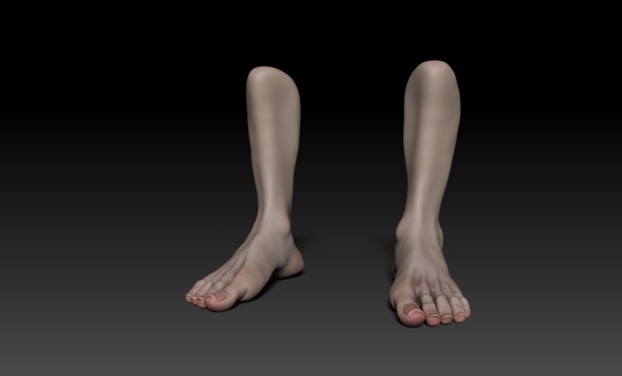 Female Pro Feet Heeled Shoes Sculpt Project 3D model_30