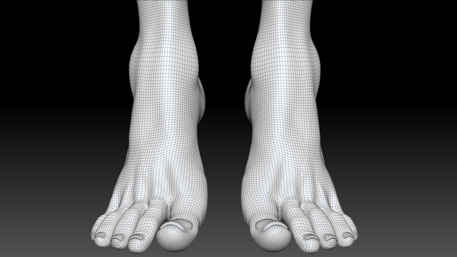 Female Pro Feet Heeled Shoes Sculpt Project 3D model_51