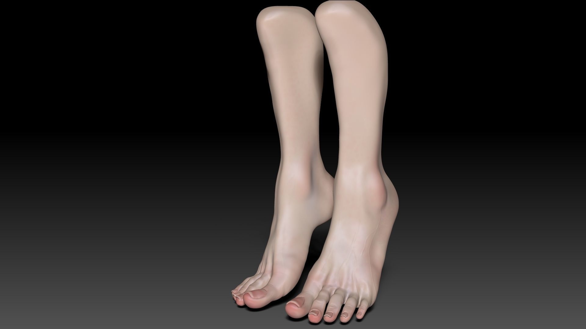Female Pro Feet Heeled Shoes Sculpt Project 3D model_42