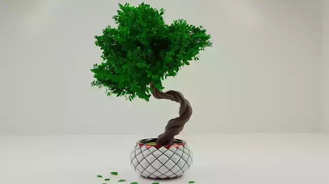 3D Bonsai Tree