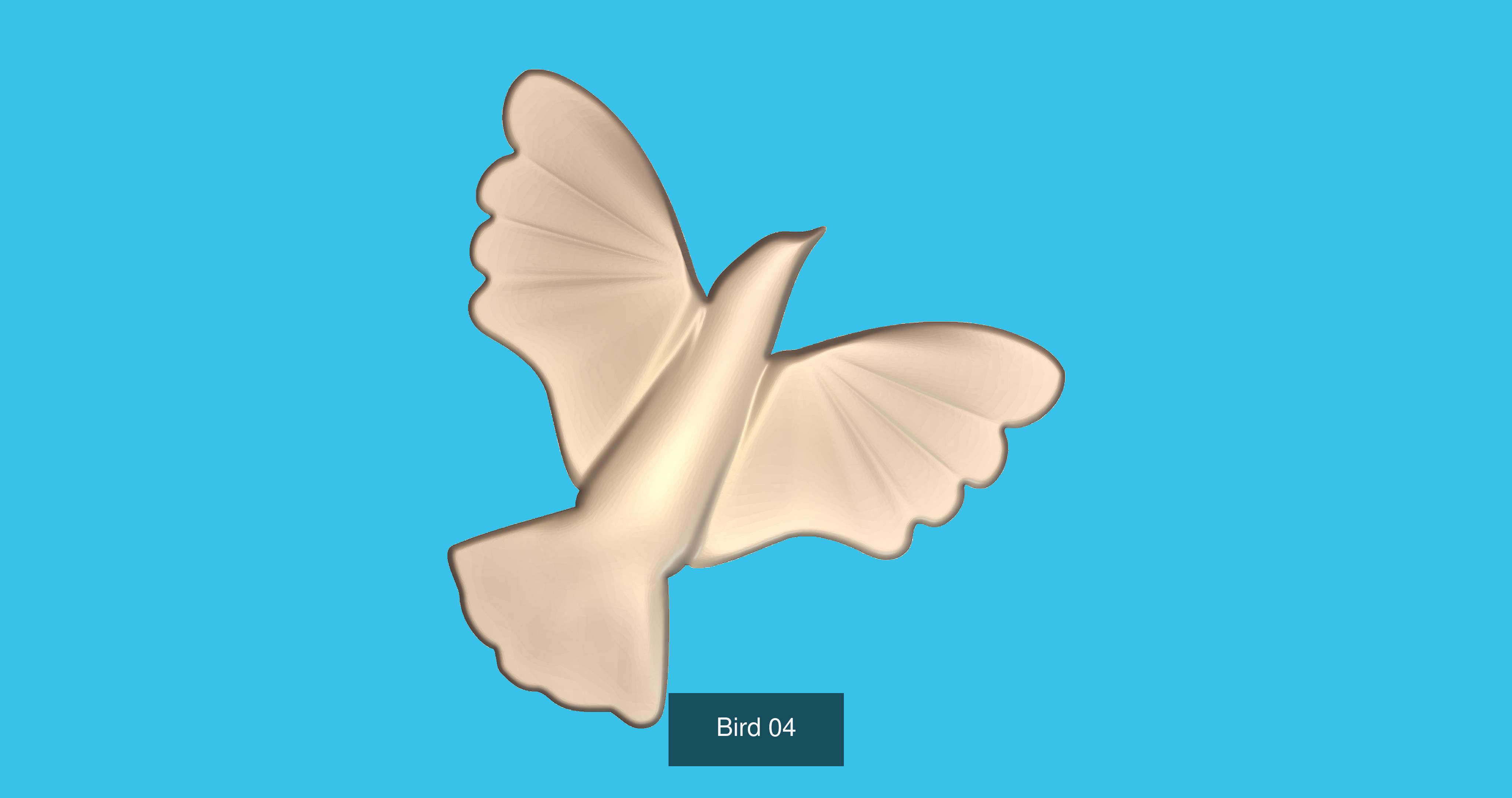 BIRDS 3D Model Collection_5