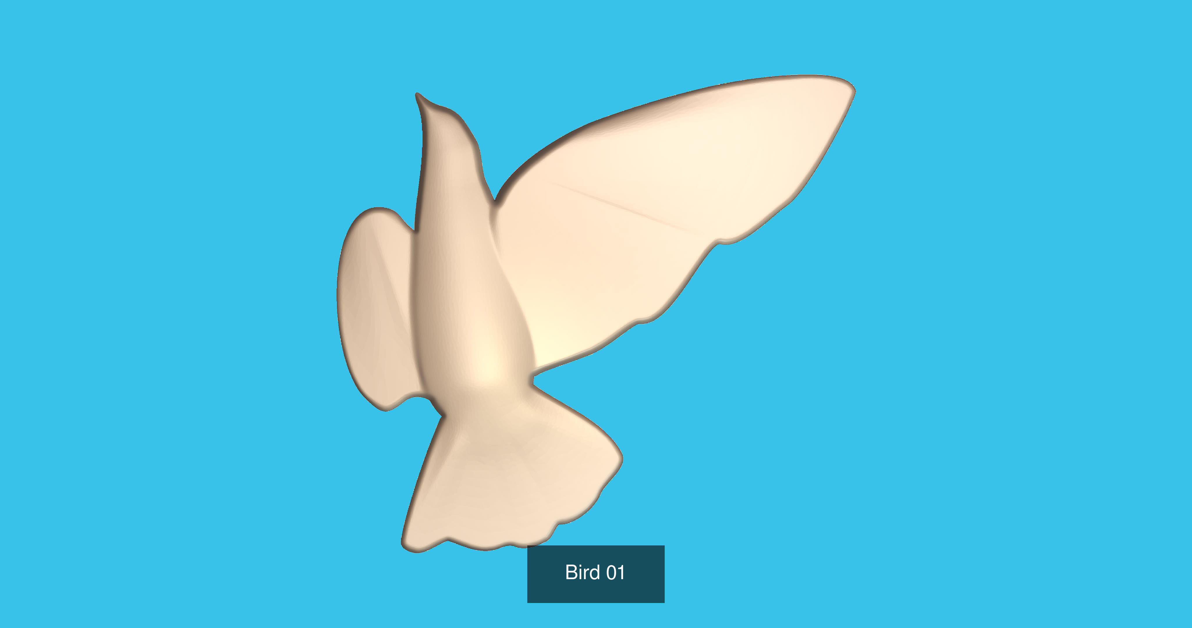 BIRDS 3D Model Collection_2