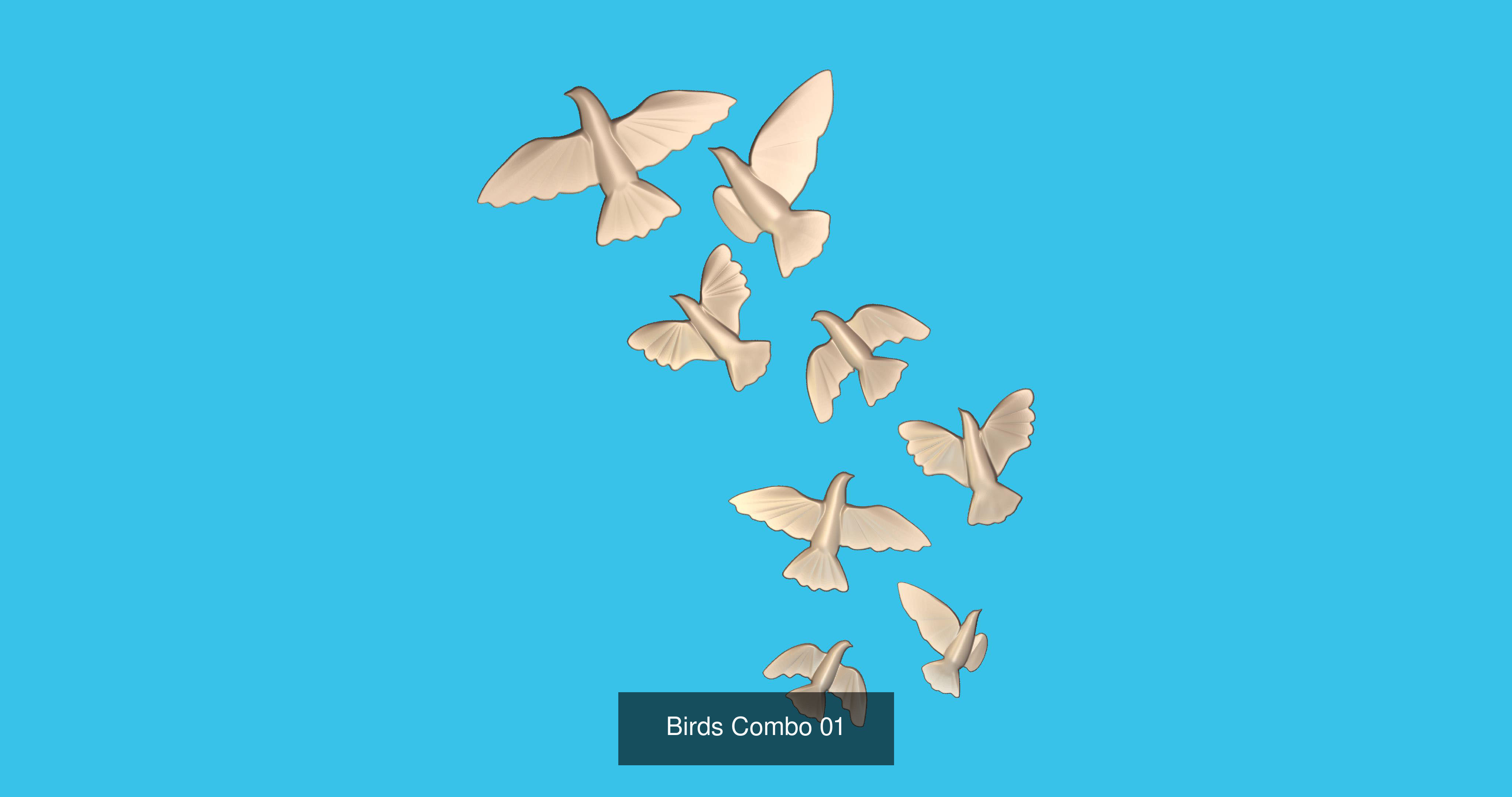 BIRDS 3D Model Collection_6