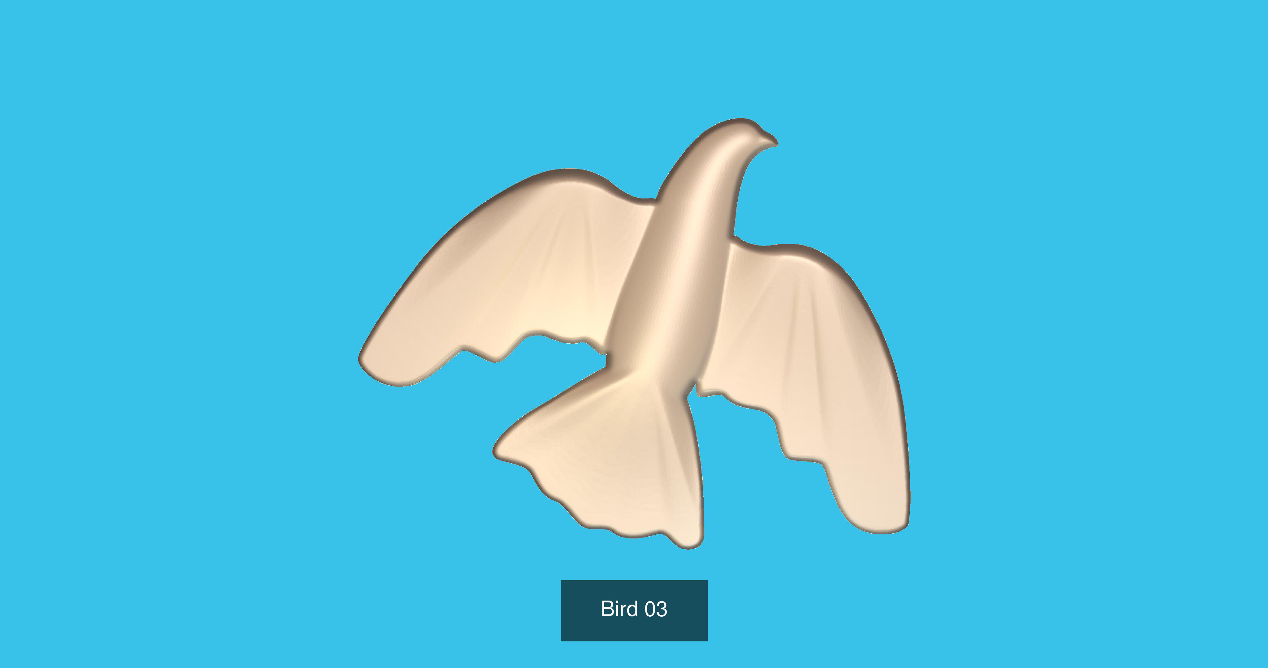 BIRDS 3D Model Collection_4