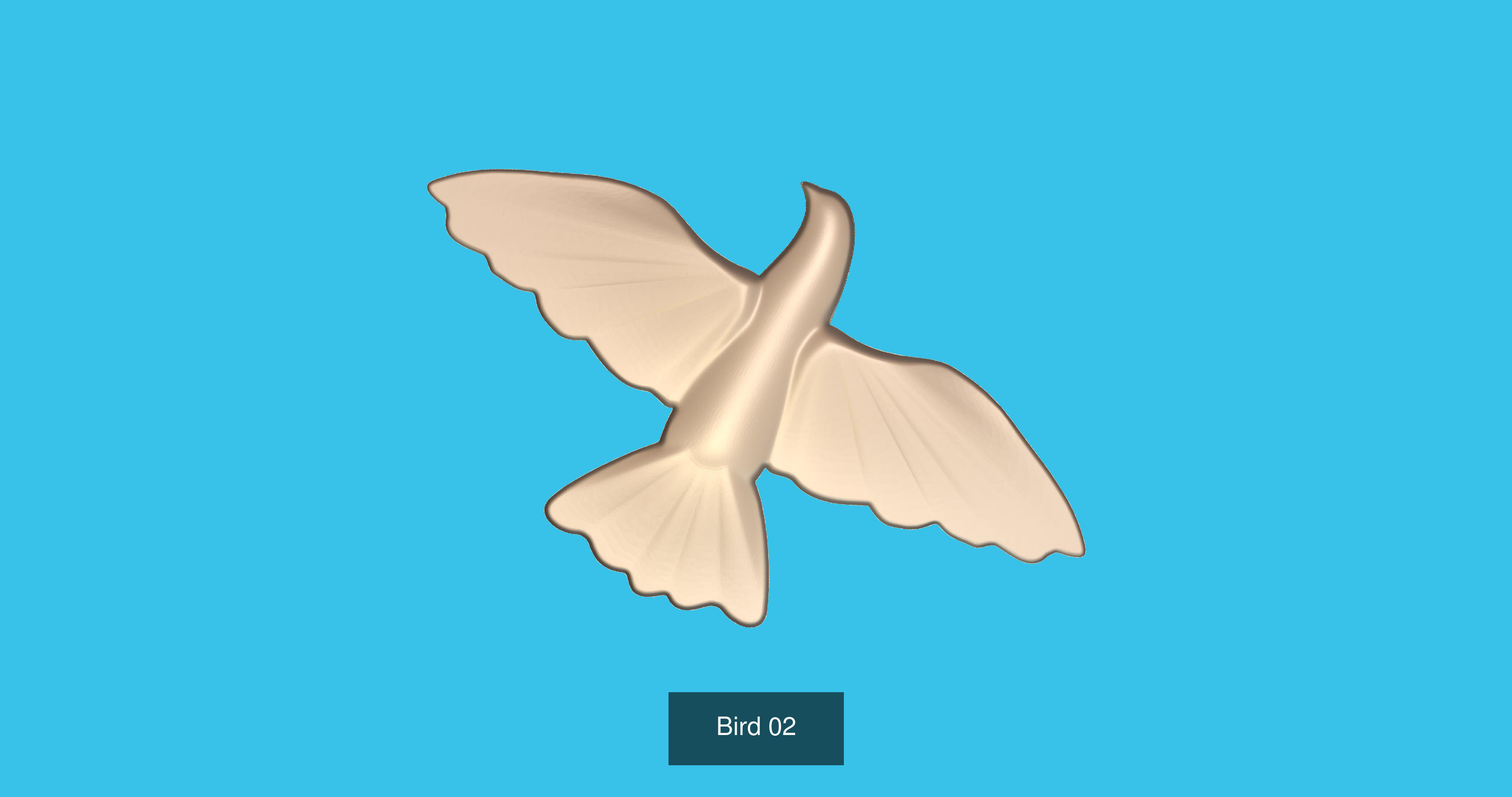 BIRDS 3D Model Collection_3