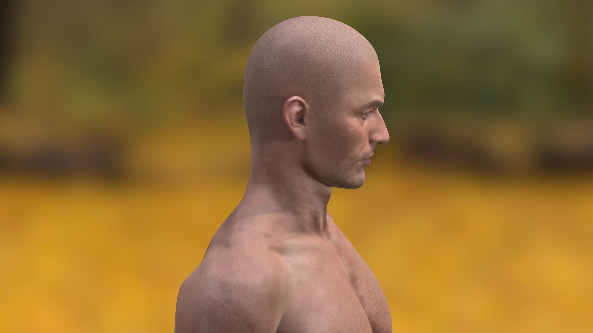 John Noszka  Low-poly 3D model_8