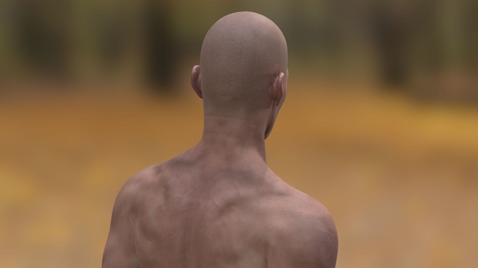 John Noszka  Low-poly 3D model_10