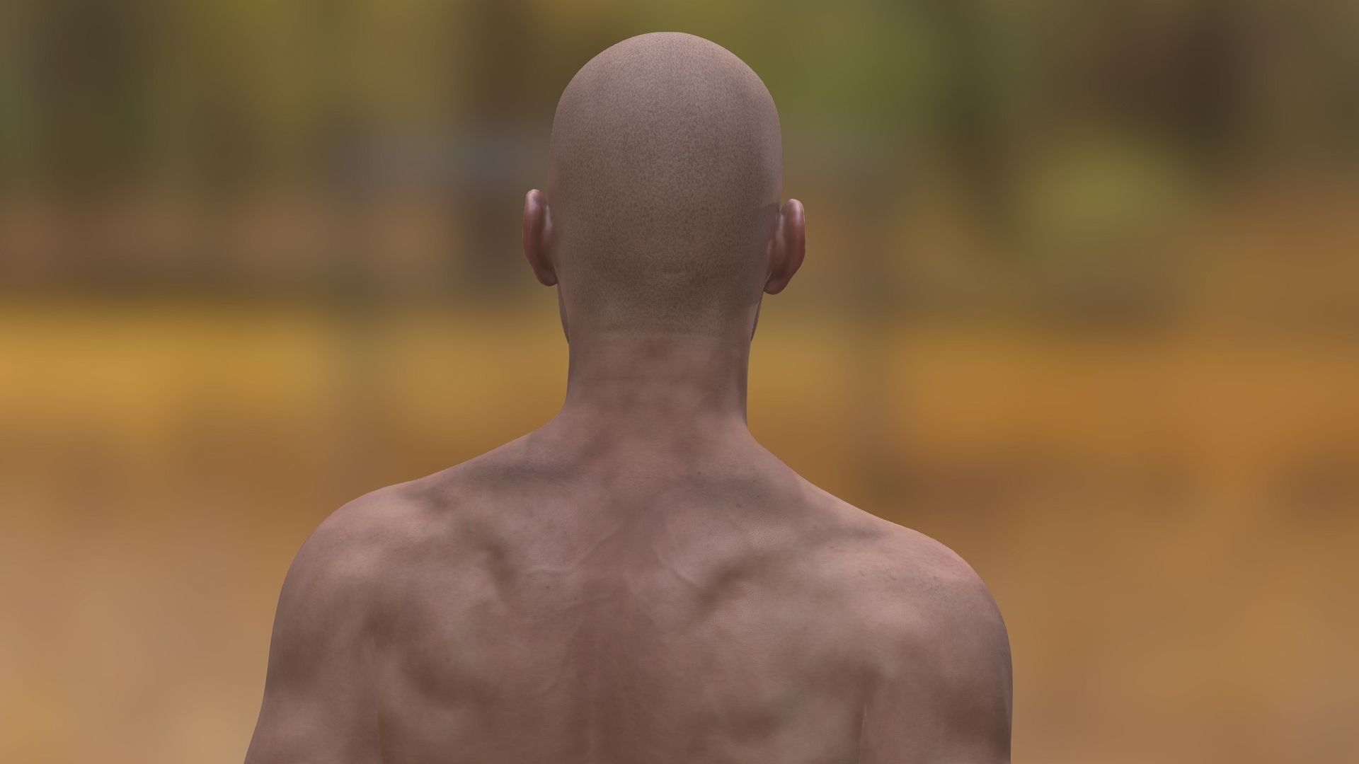 John Noszka  Low-poly 3D model_11