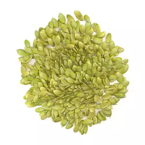 Pumpkin seeds V1 3D model