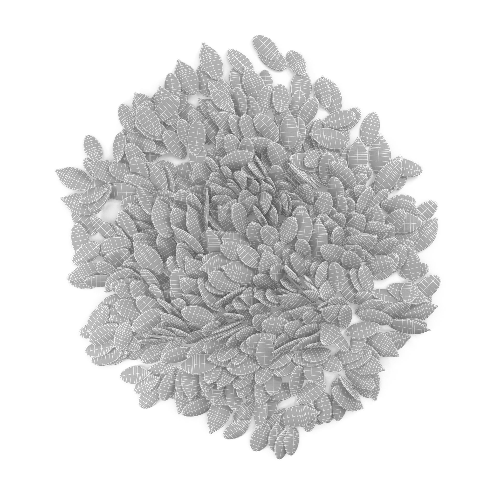 Pumpkin seeds V1 3D model_8