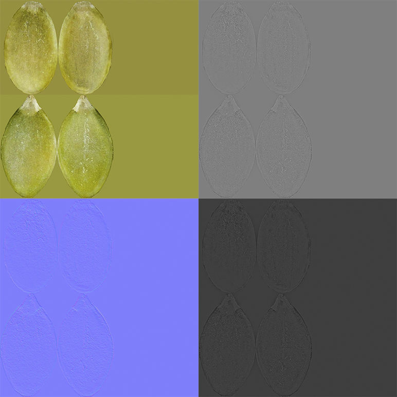 Pumpkin seeds V1 3D model_7