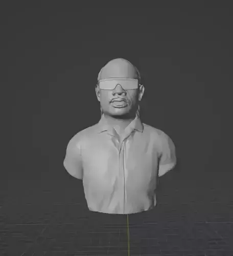 Stevie Wonder 3D print model