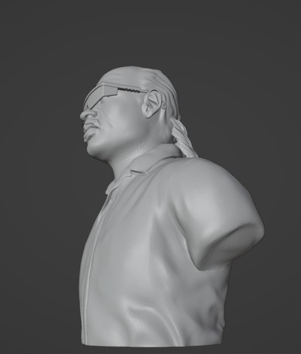 Stevie Wonder 3D print model_1