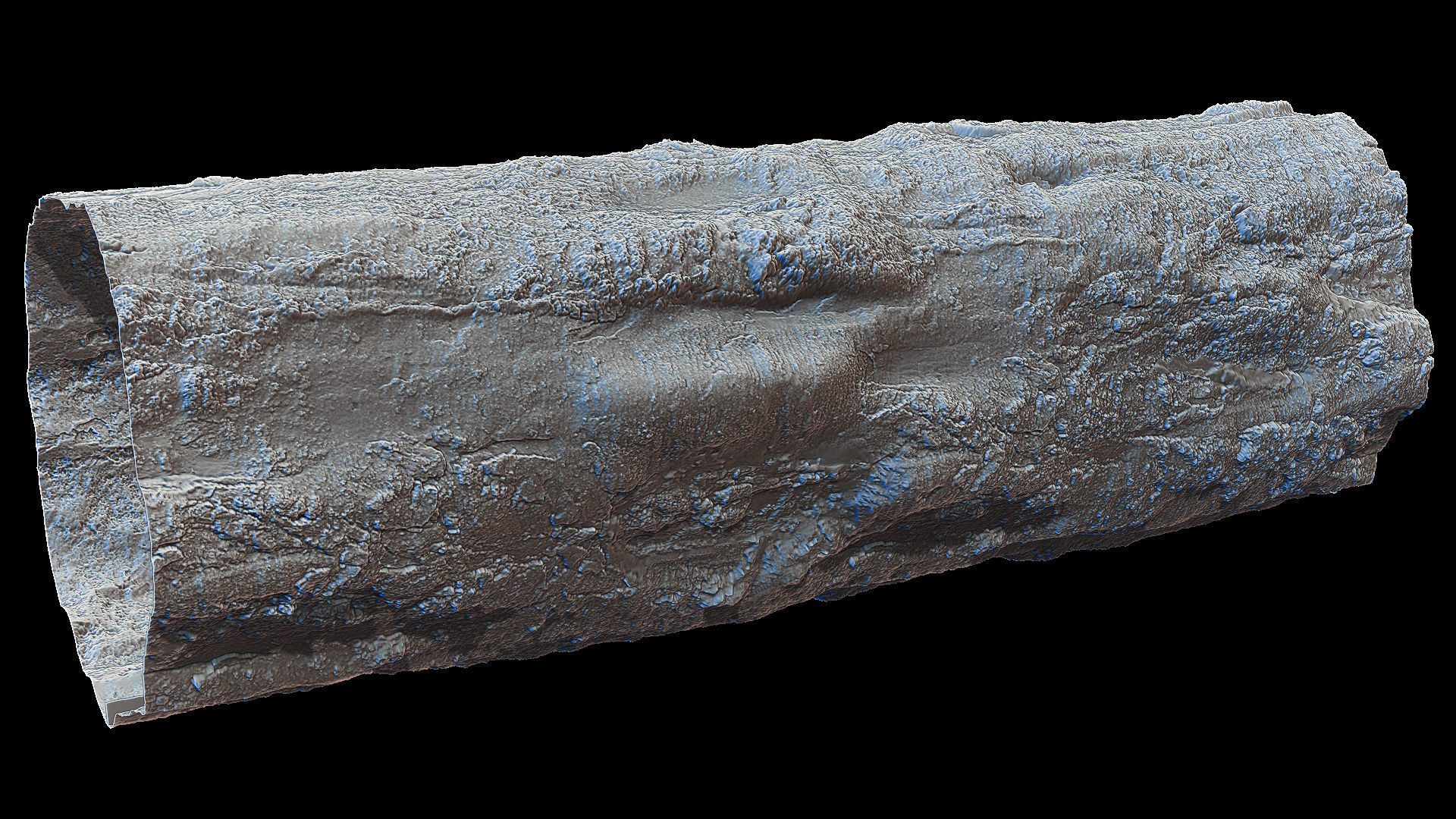 Ultra HQ Tree Bark Sculpt Zbrush brushes and Alphas Vol2 Texture_28