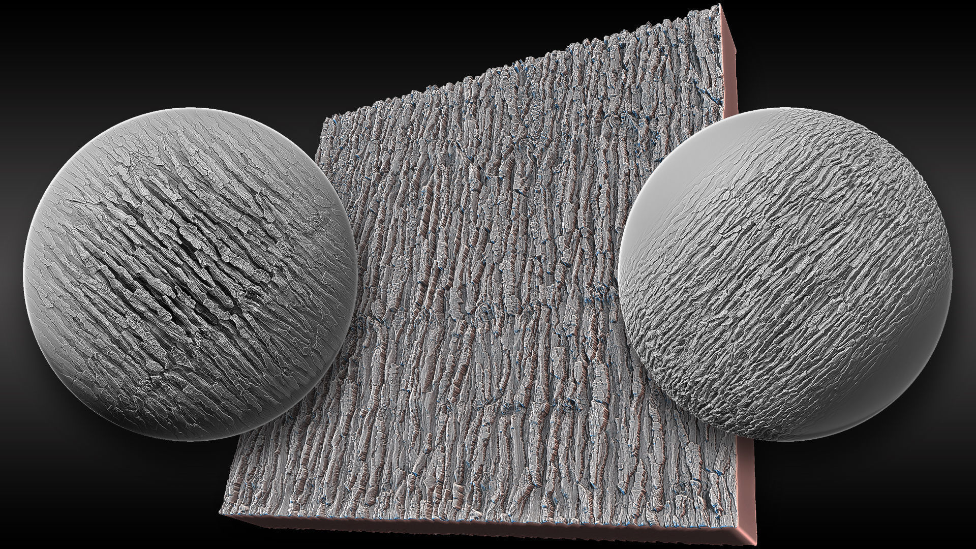 Ultra HQ Tree Bark Sculpt Zbrush brushes and Alphas Vol2 Texture_14