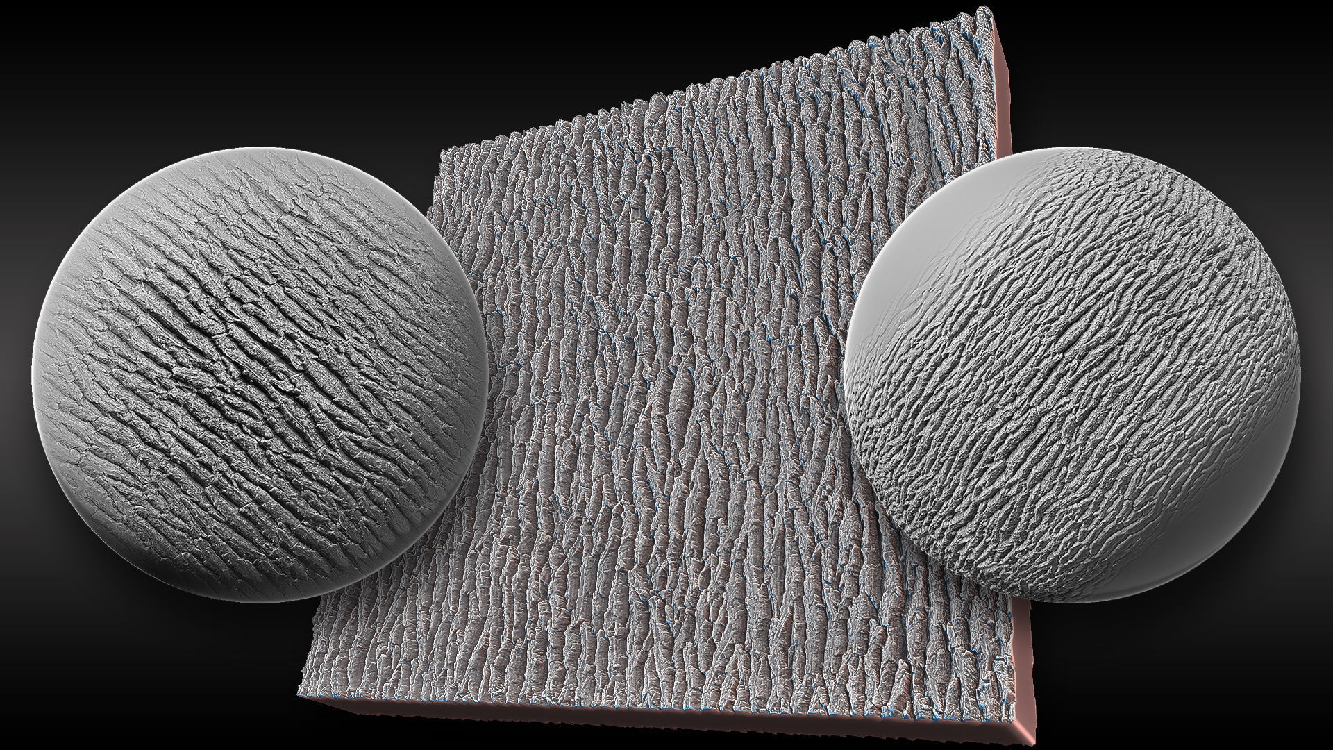 Ultra HQ Tree Bark Sculpt Zbrush brushes and Alphas Vol2 Texture_19